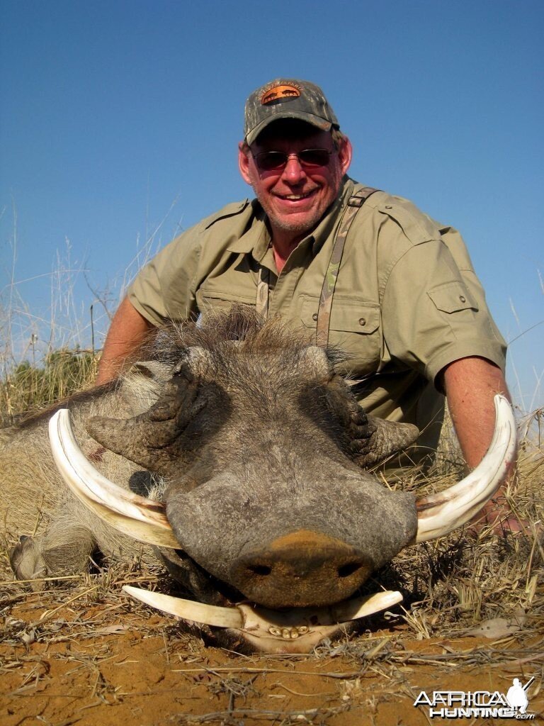 Warthog hunted with Cruiser Safaris