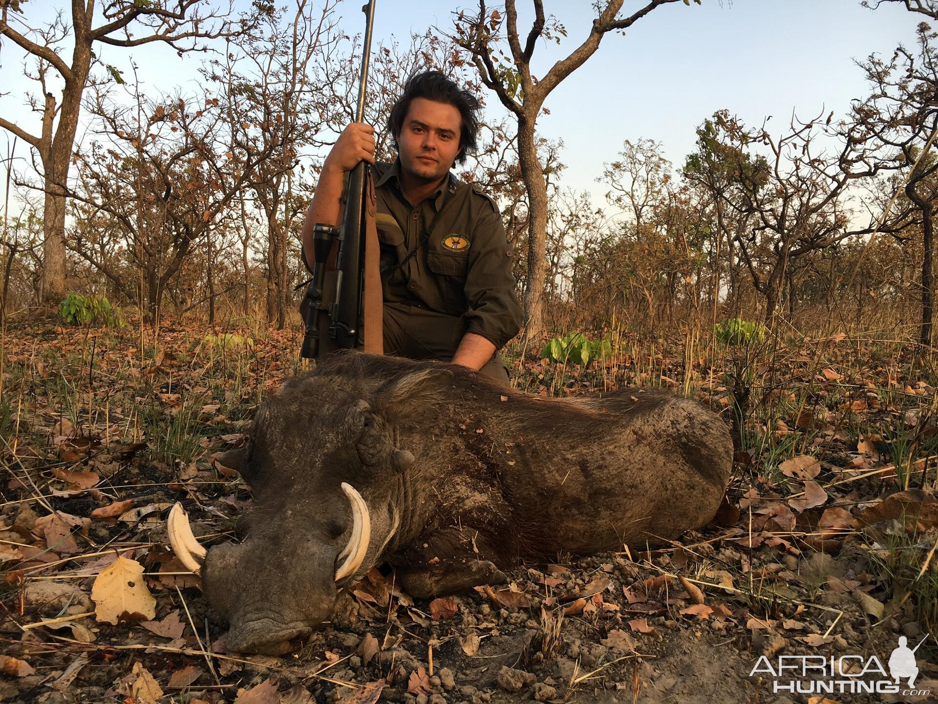 Warthog Hunting Cameroon