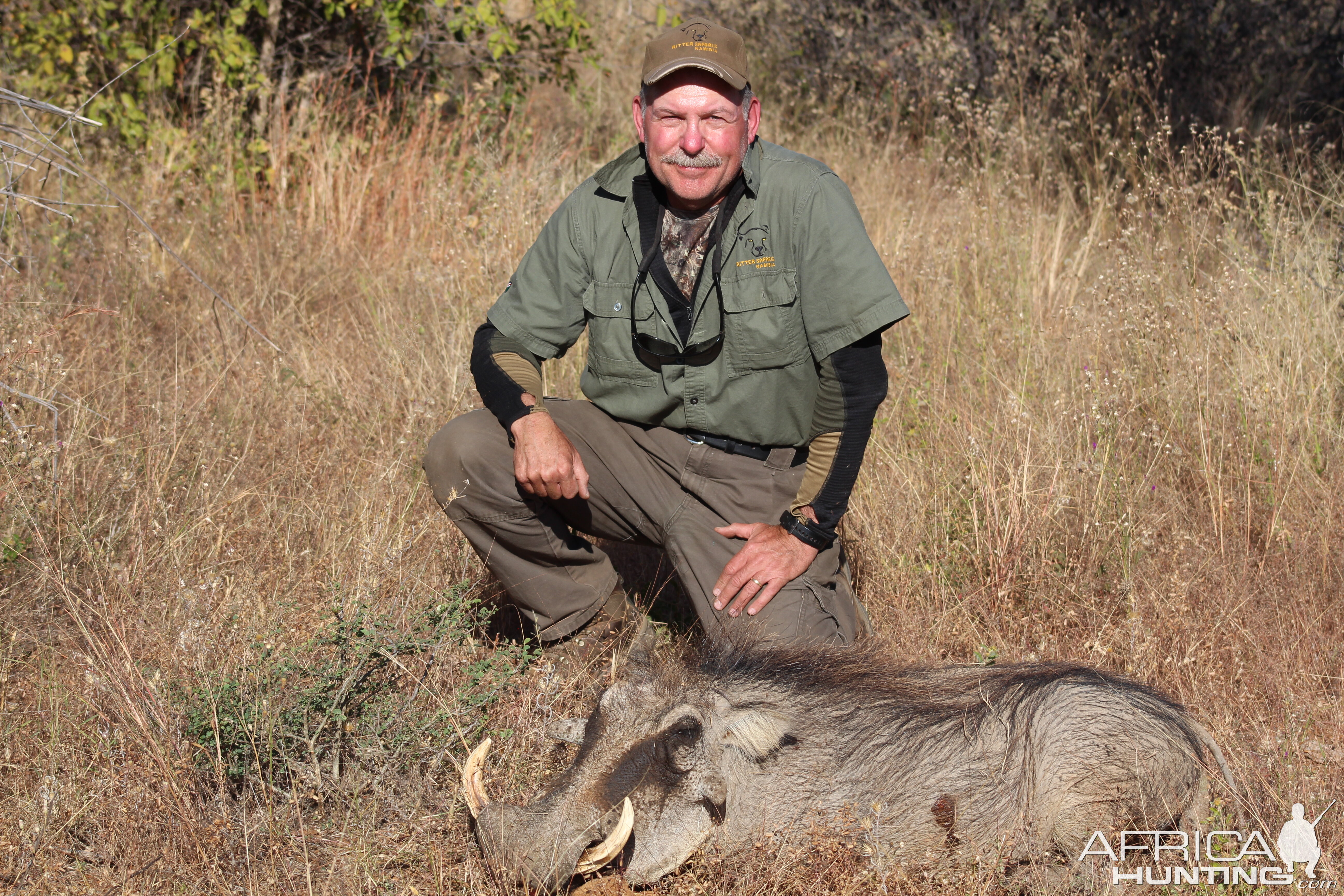 Warthog Hunting Namibia