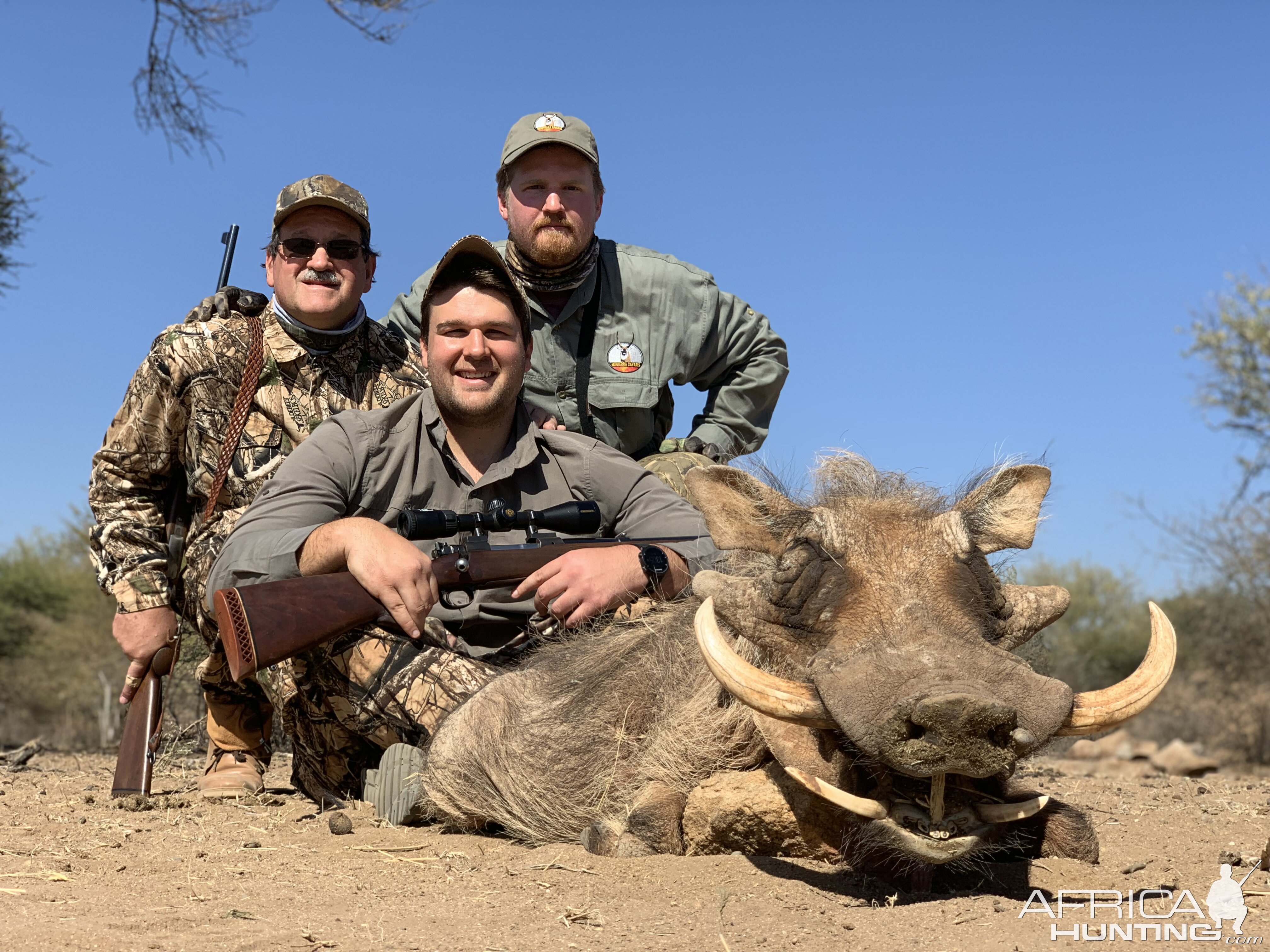 Warthog Hunting South Africa