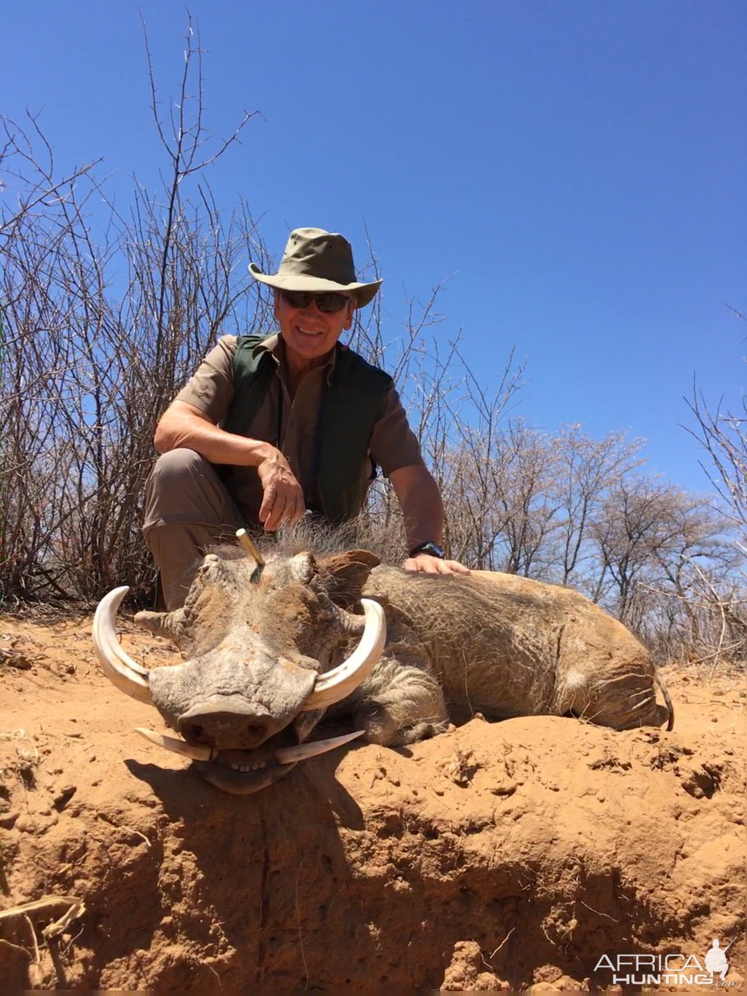 Warthog Hunting South Africa