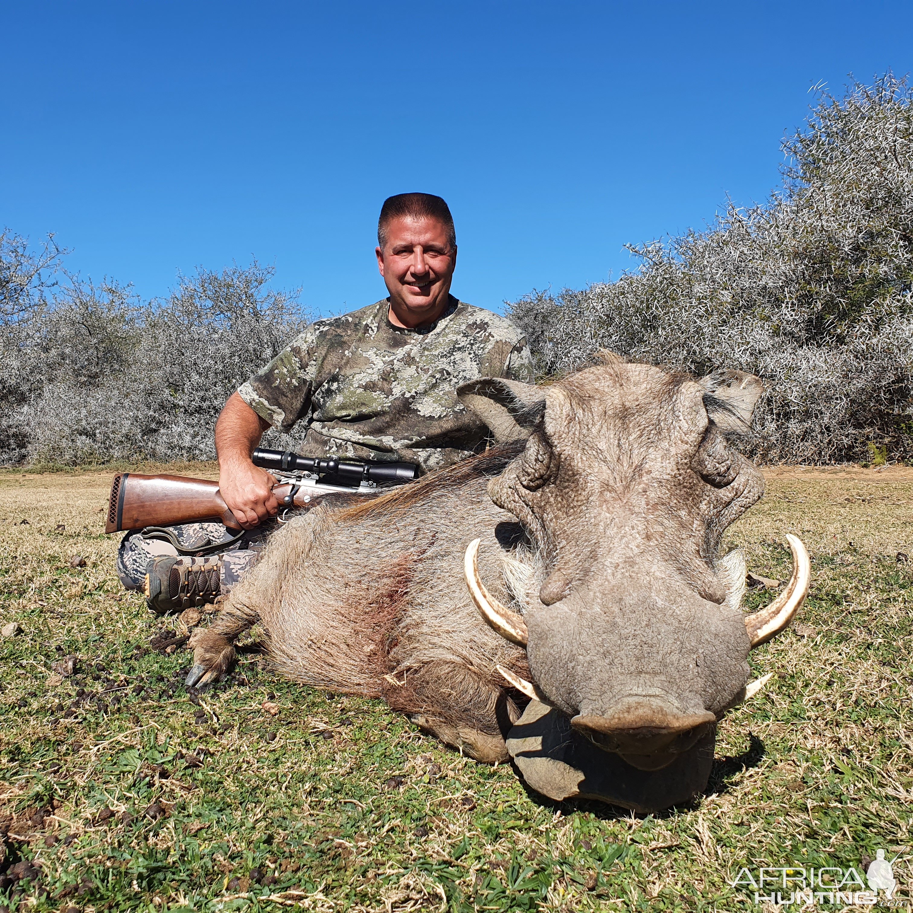 Warthog Hunting South Africa