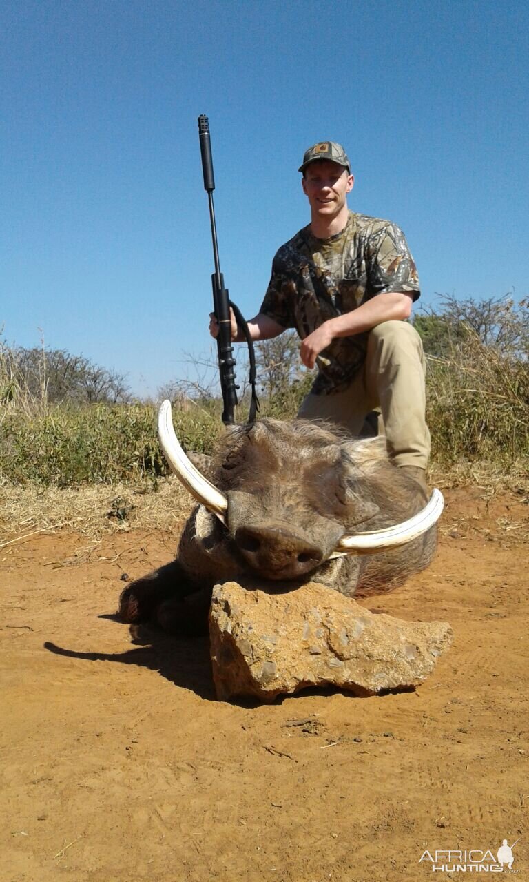 Warthog Hunting South Africa