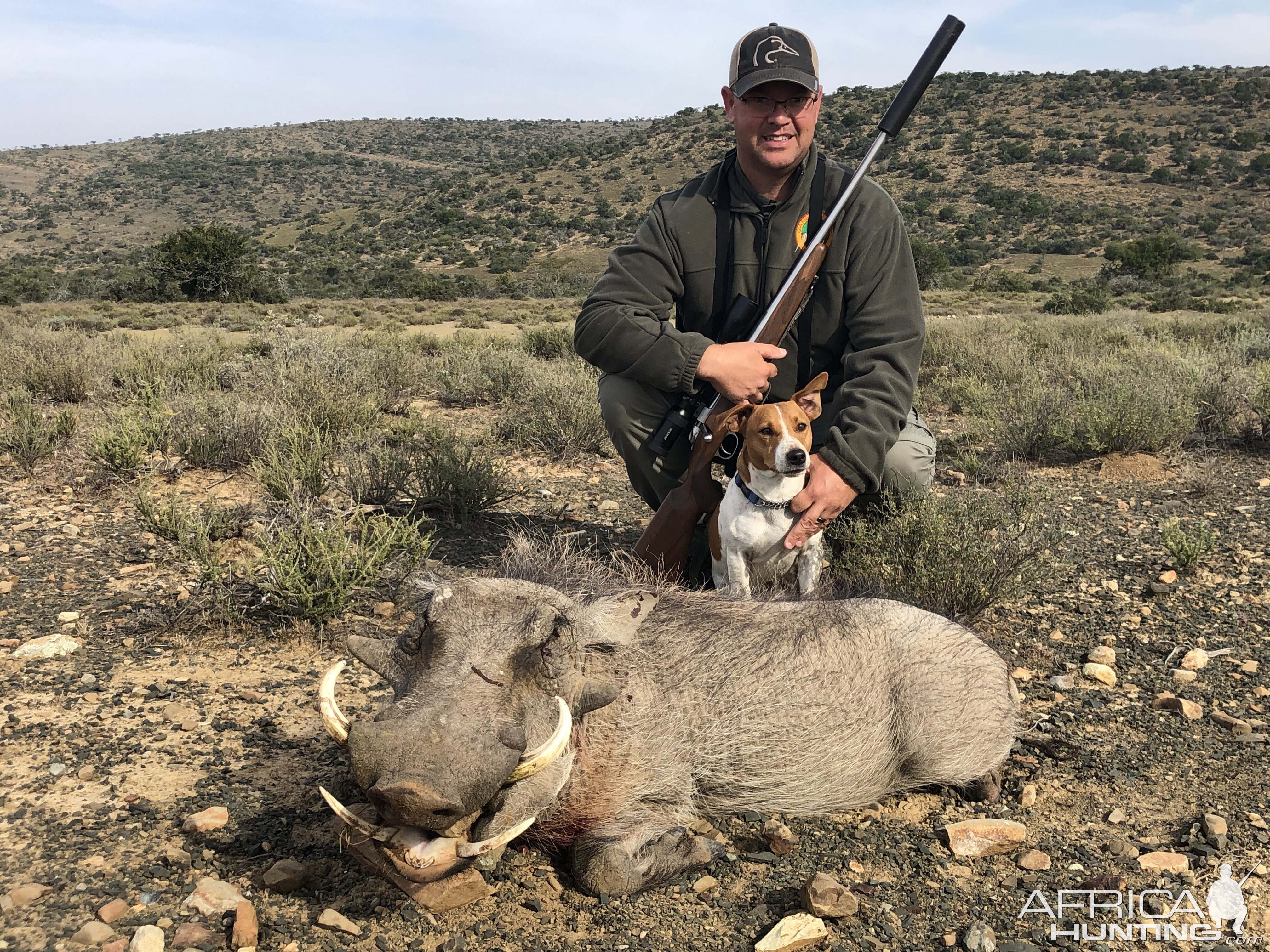 Warthog Hunting South Africa