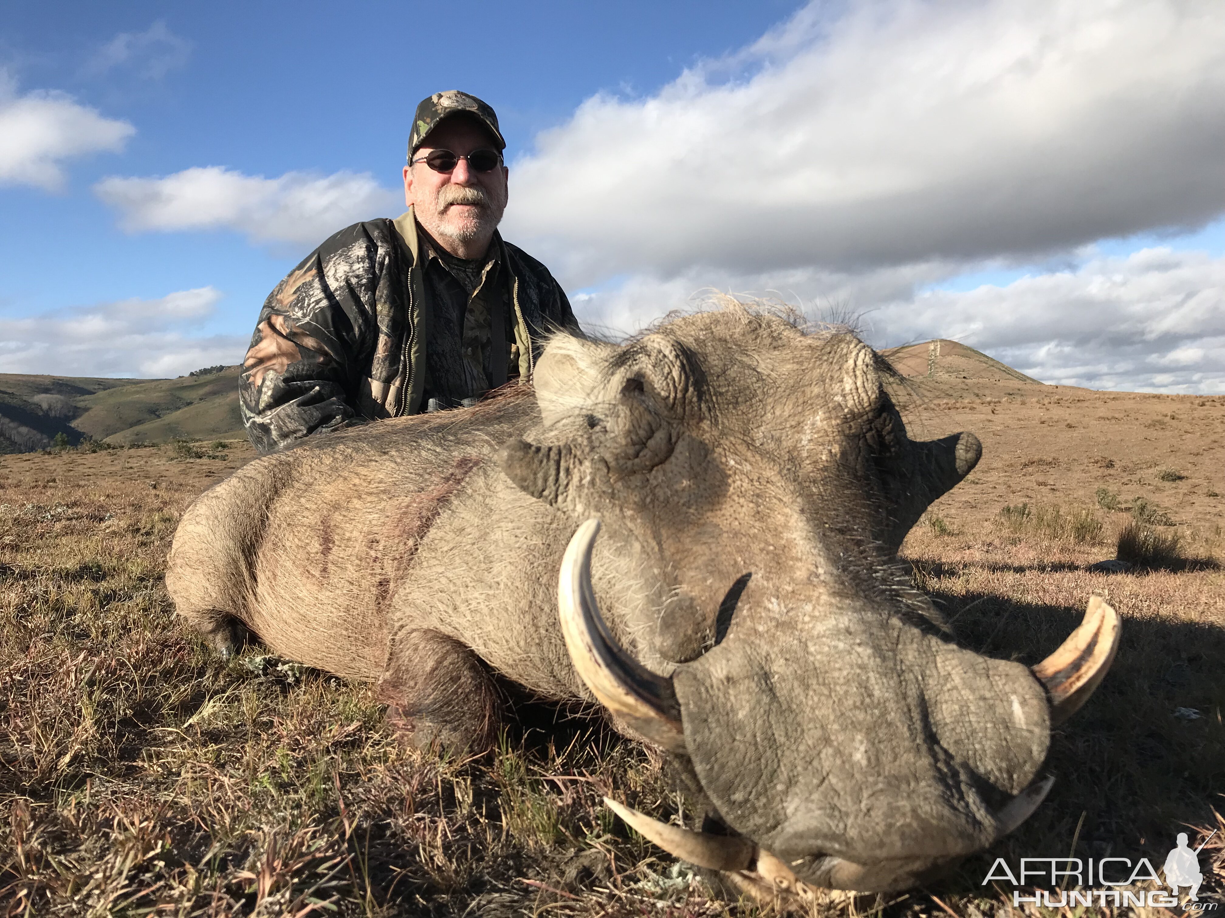 Warthog Hunting South Africa