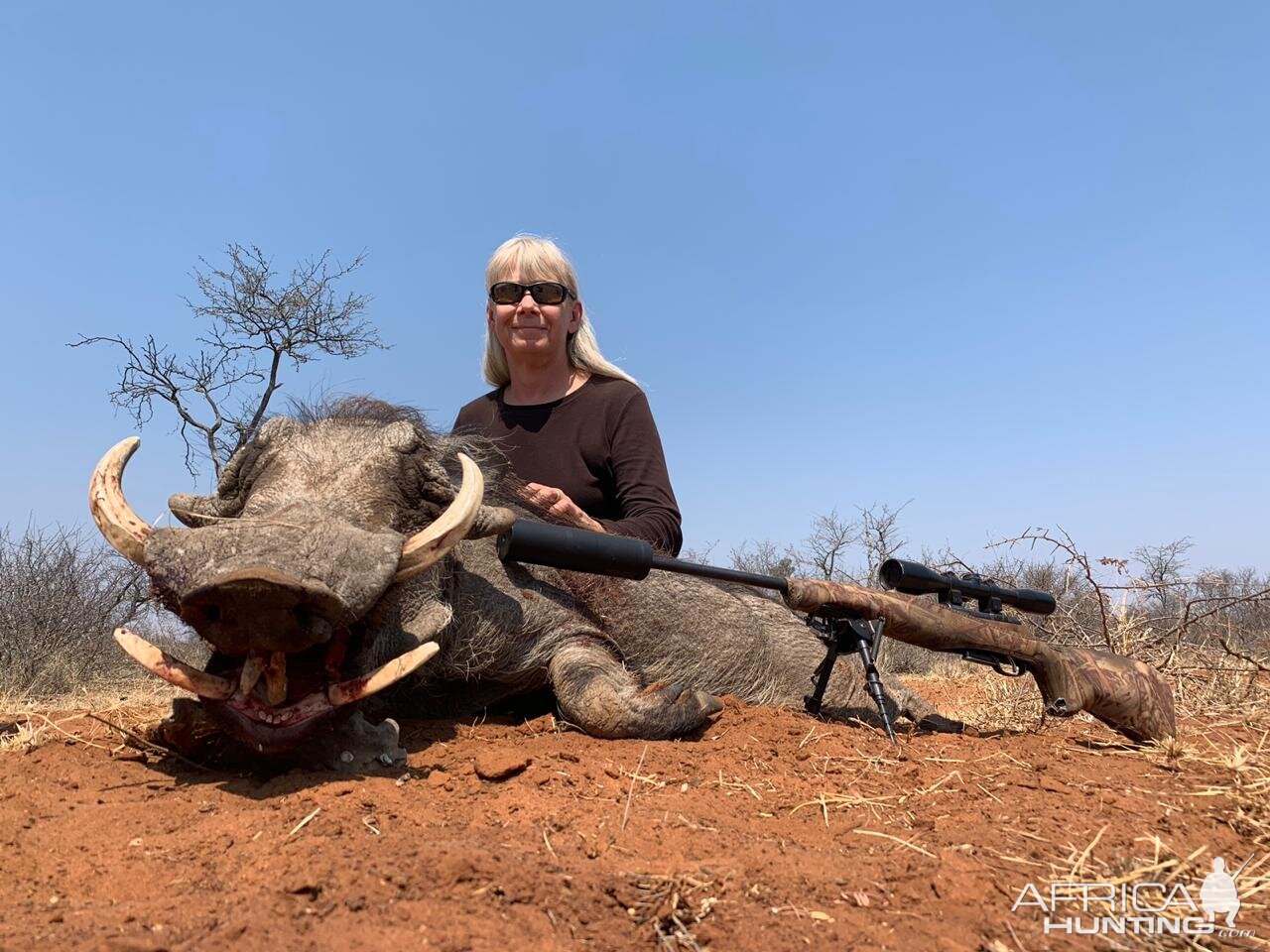 Warthog Hunting South Africa