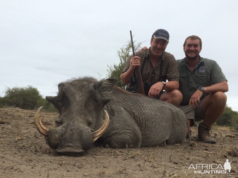 Warthog Hunting with Pro Hunting Safaris