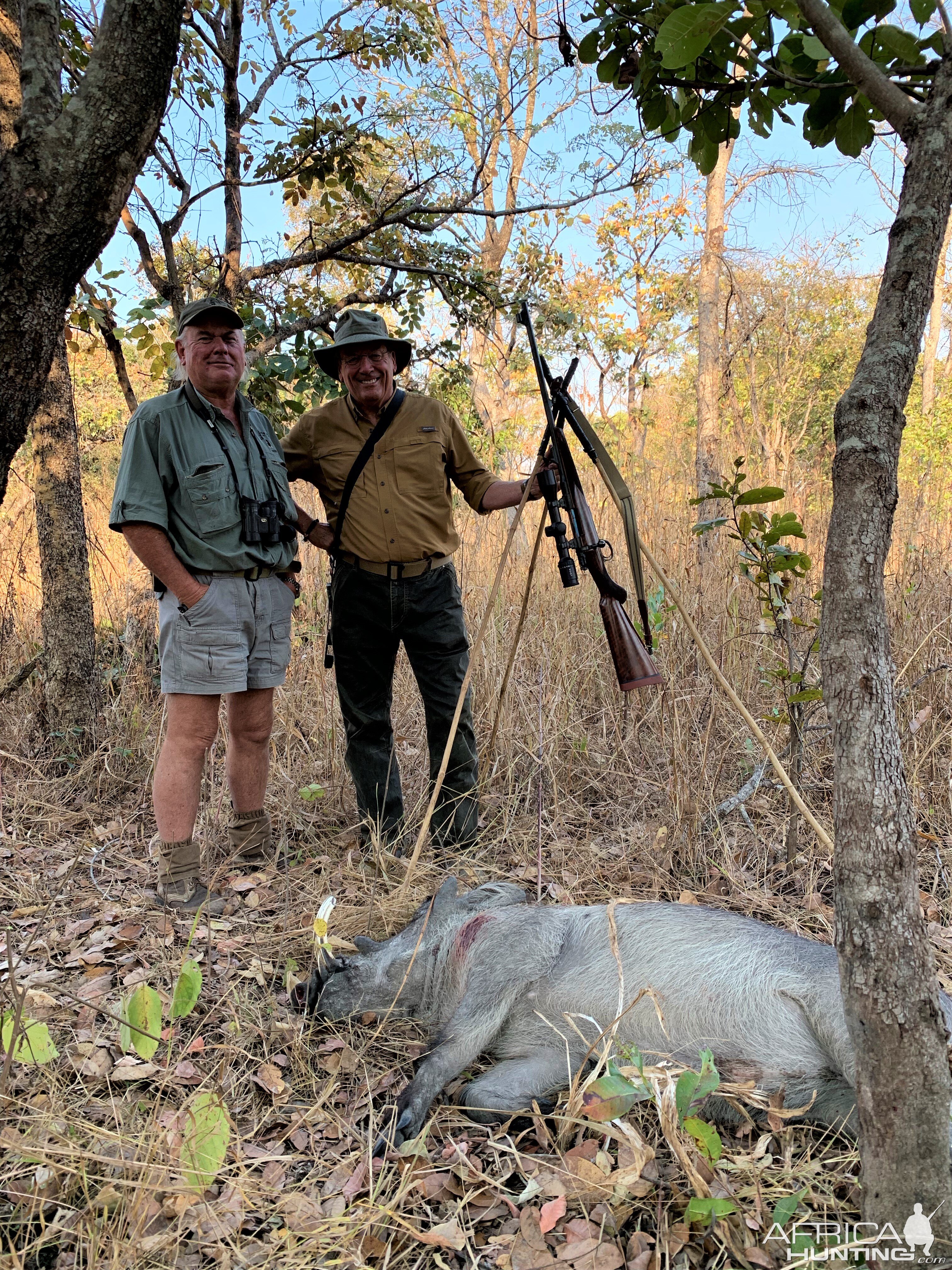 Warthog Hunting Zambia