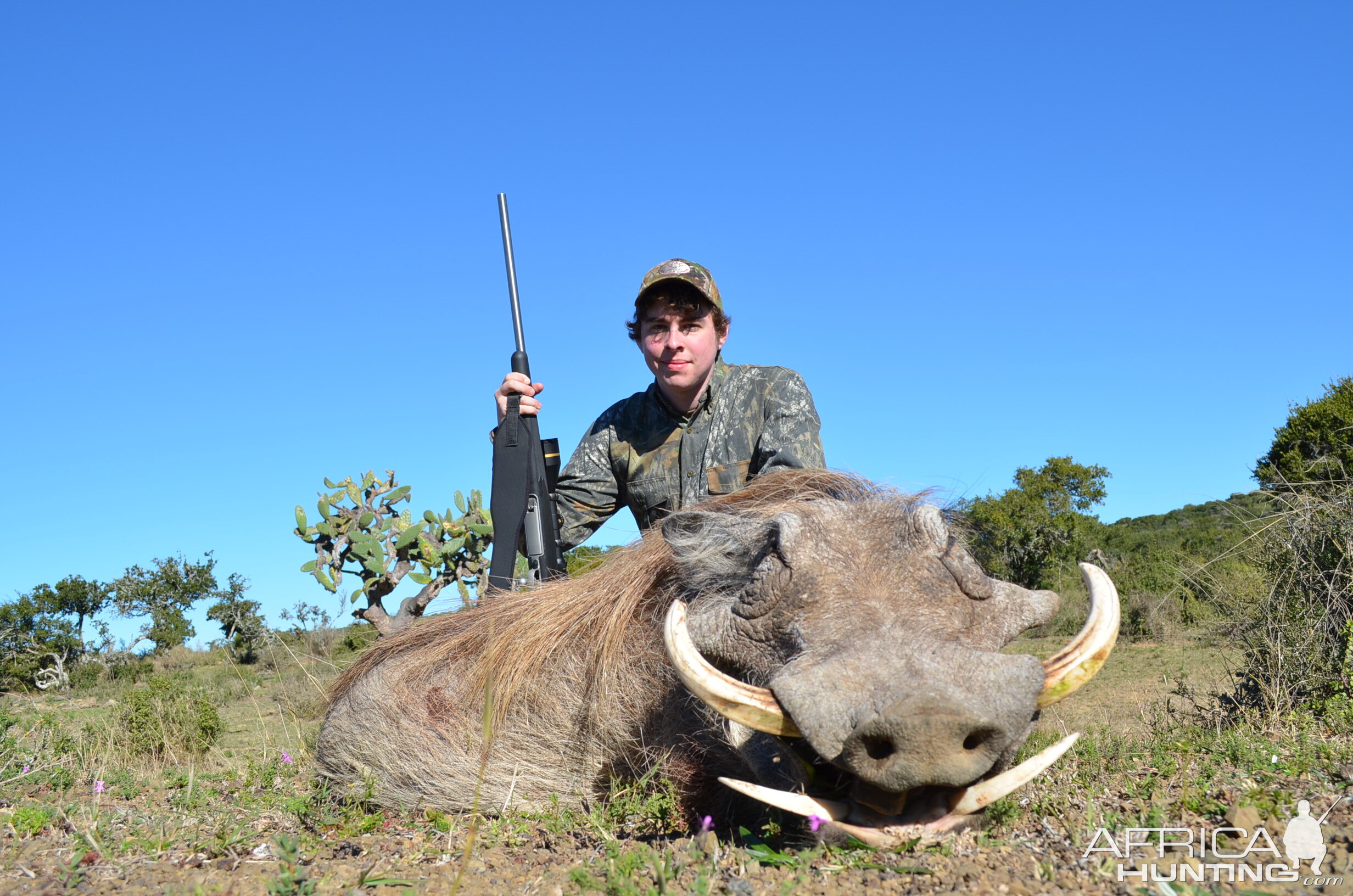 Warthog KMG Hunting Safaris