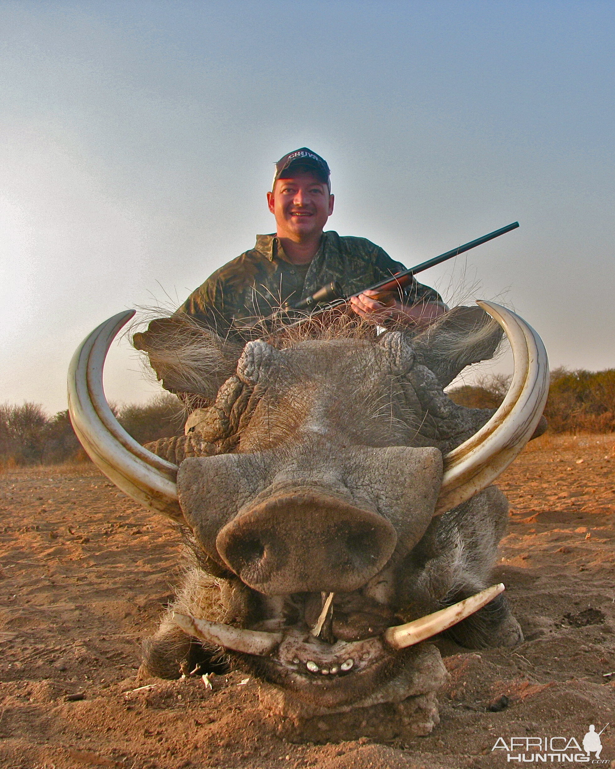 Warthog ~ Limpopo Valley, RSA