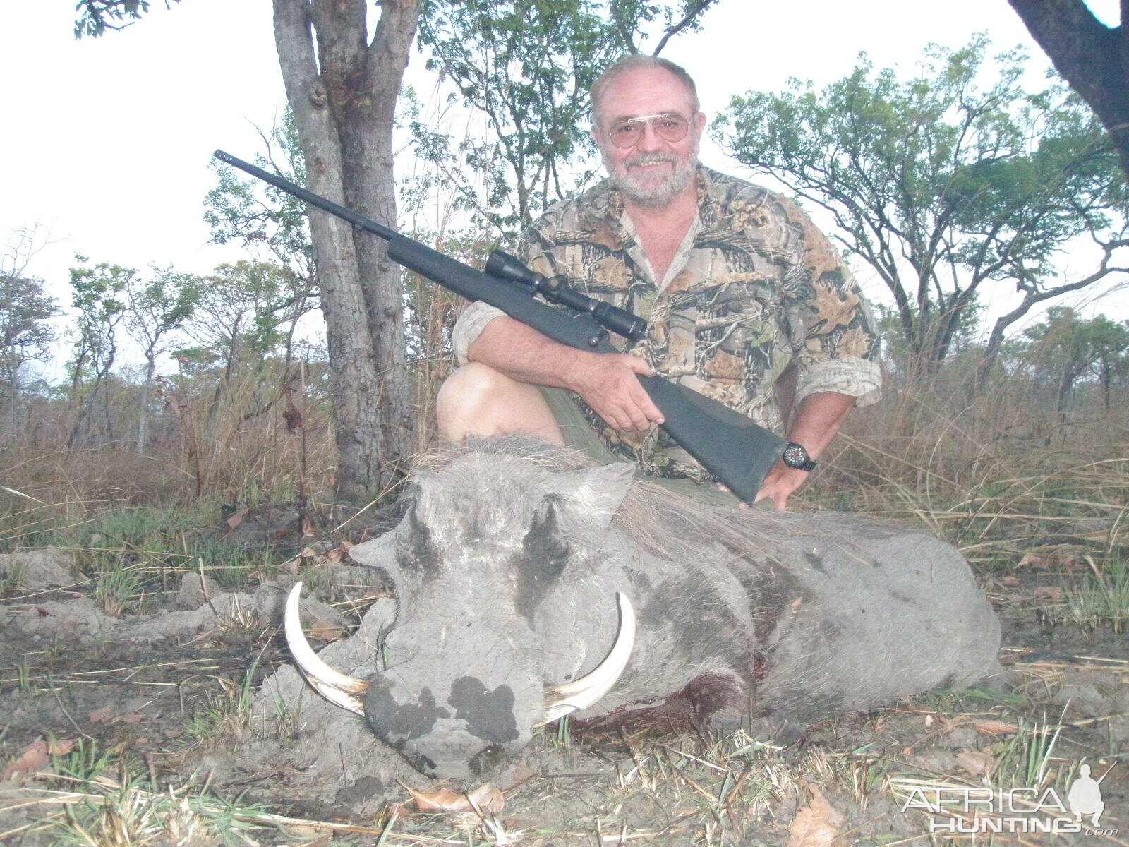 Warthog Mozambique