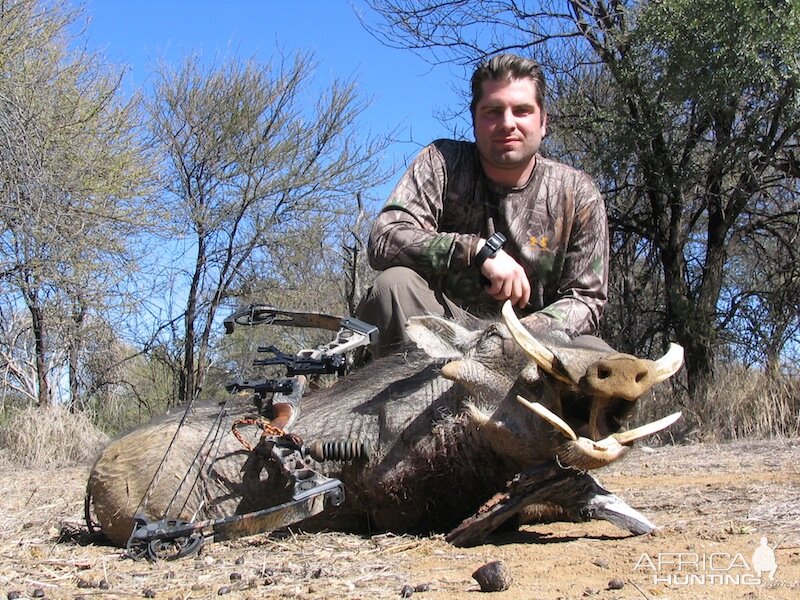 Warthog Nambia Bow Hunt