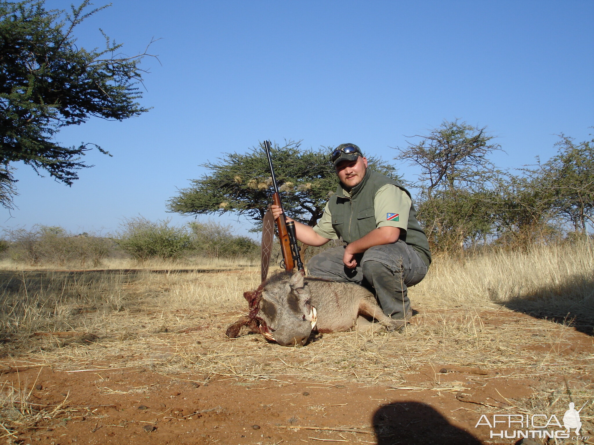 Warthog Namibia hunting 2008