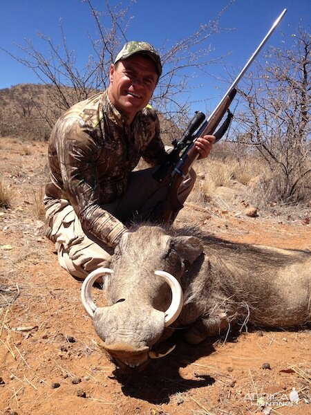 Warthog Namibia Hunting