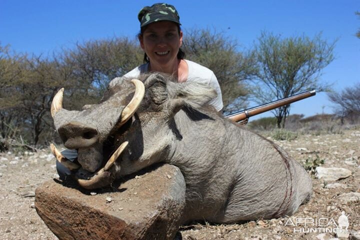 Warthog - Namibia