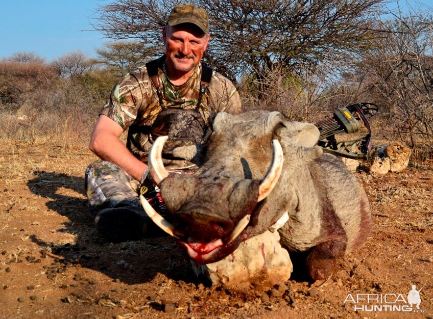 Warthog - Namibia