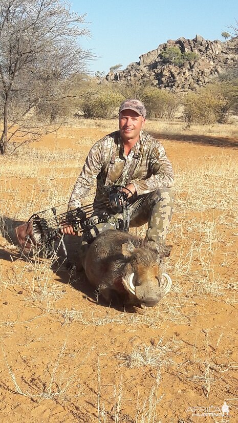 Warthog Namibia