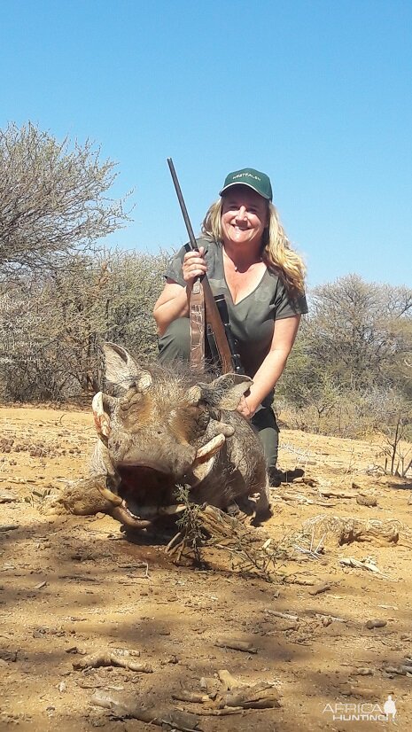 Warthog Namibia