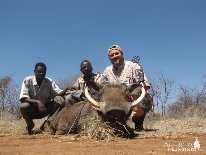 Warthog South Africa 12.5 inches