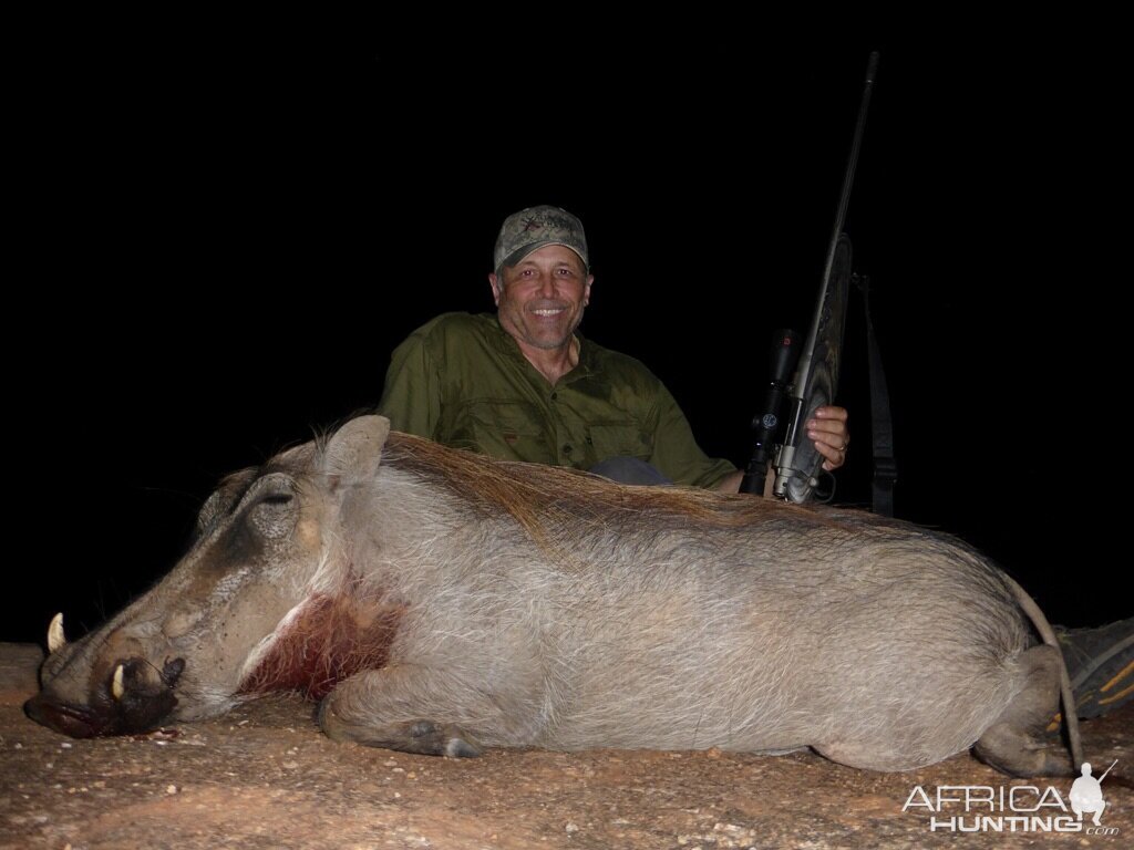 Warthog South Africa 2015