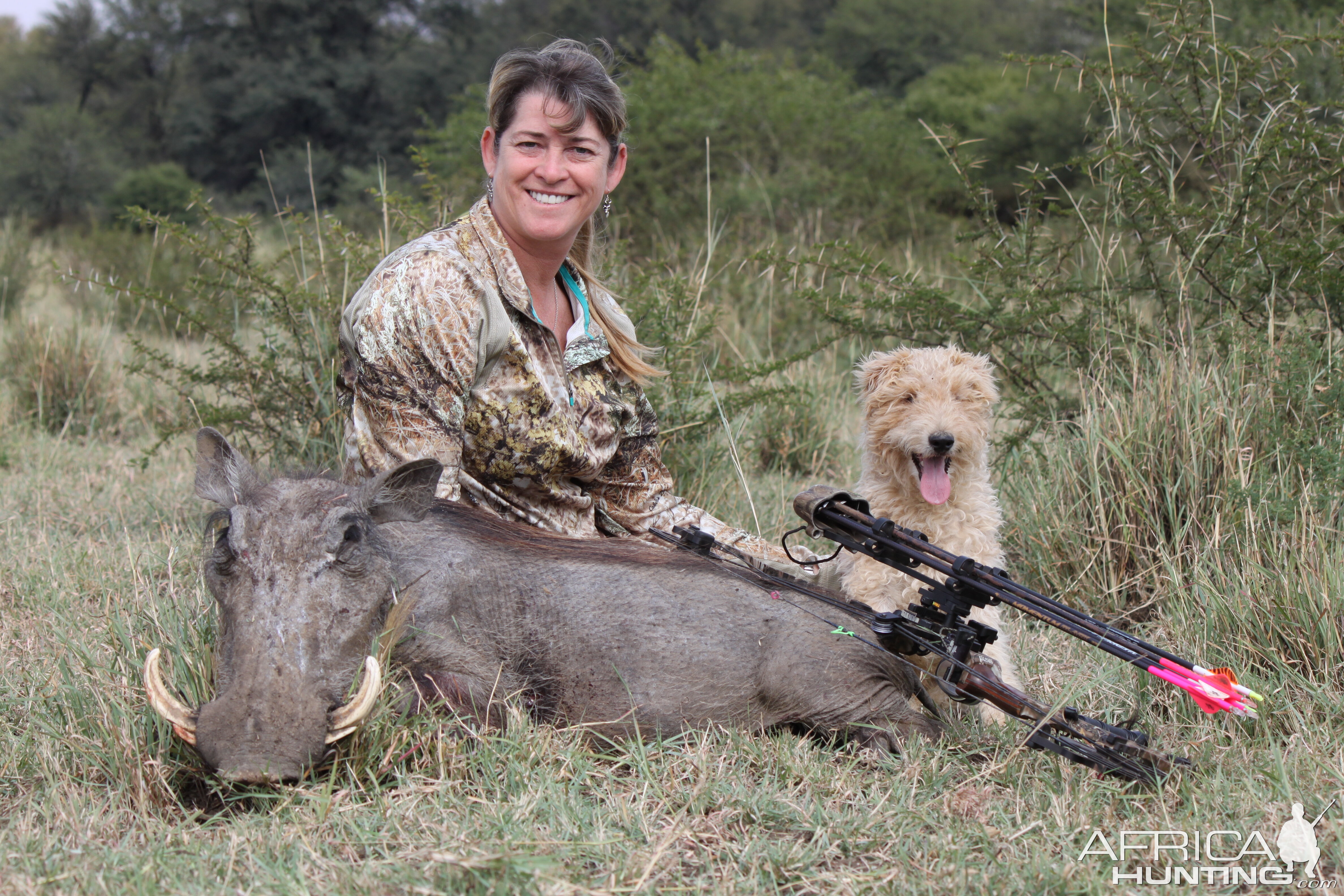 Warthog South Africa  Bow Hunting