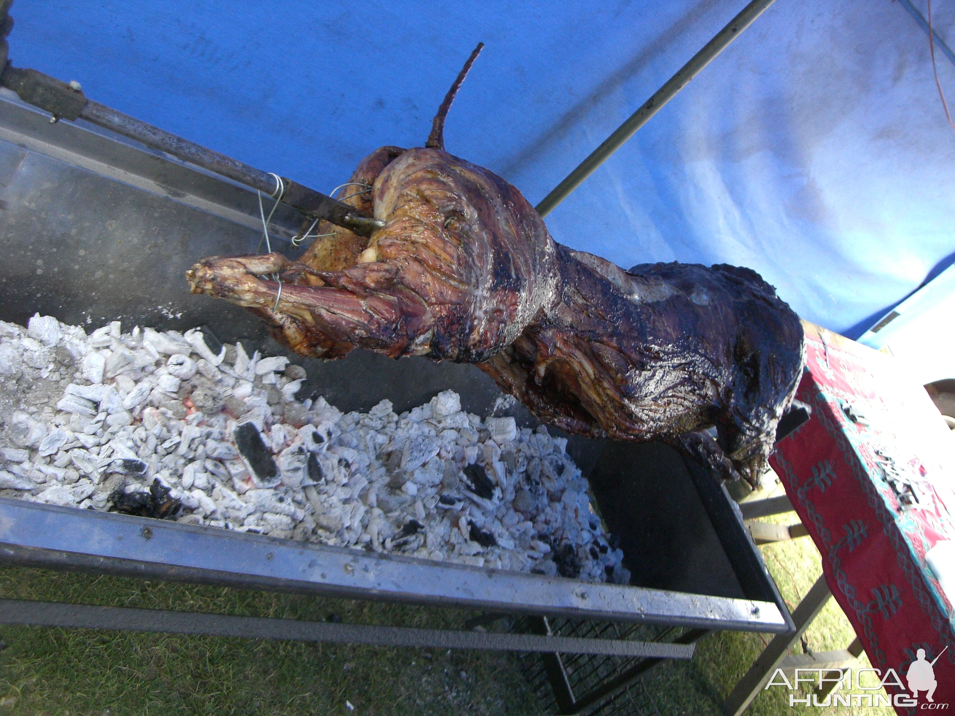 Warthog Spitbraai