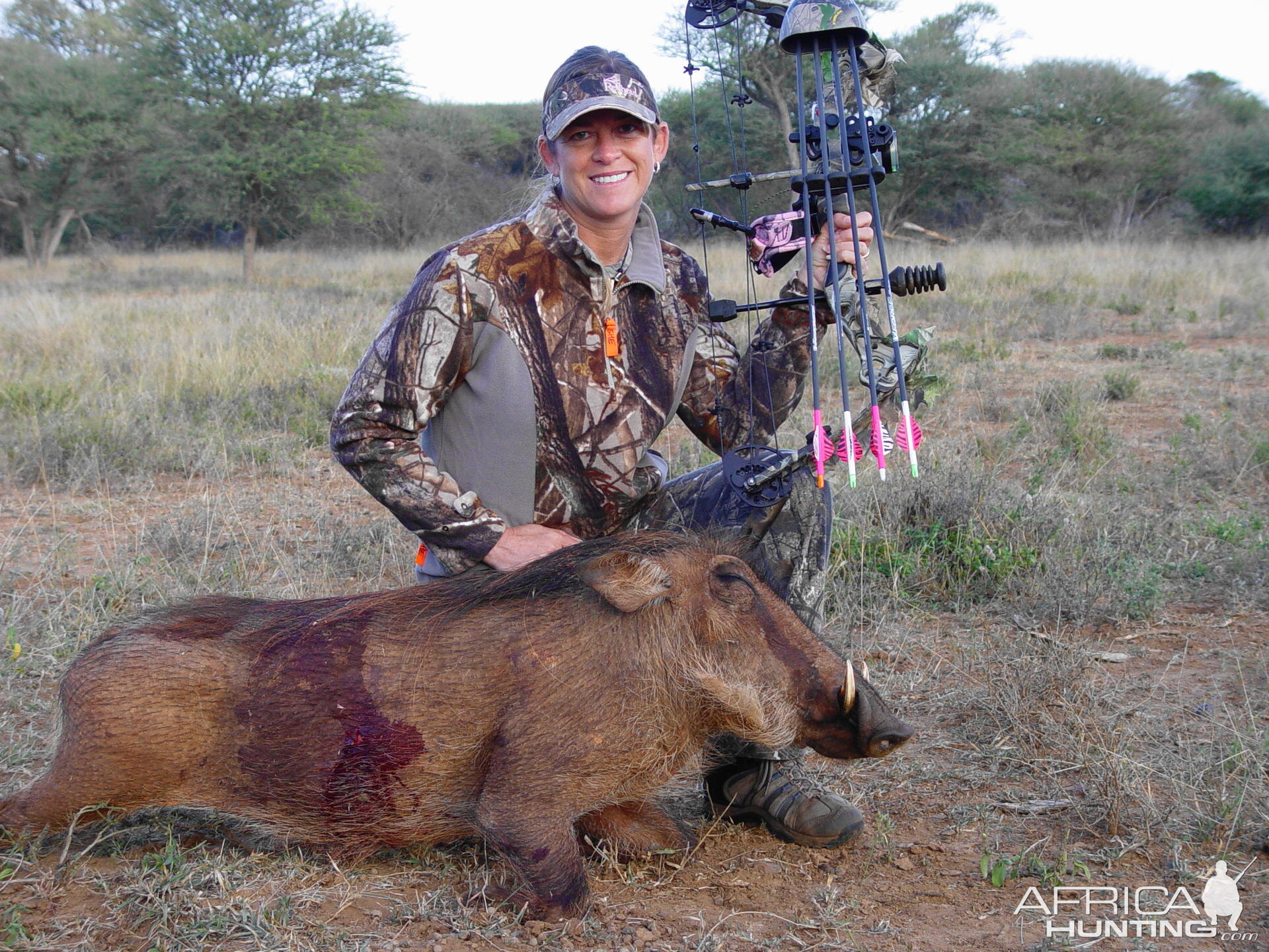 Warthog with Limcroma Safaris