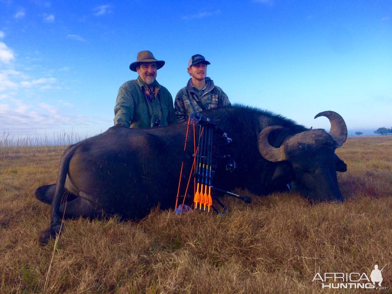 Water Buffalo Bow Hunting Argentina