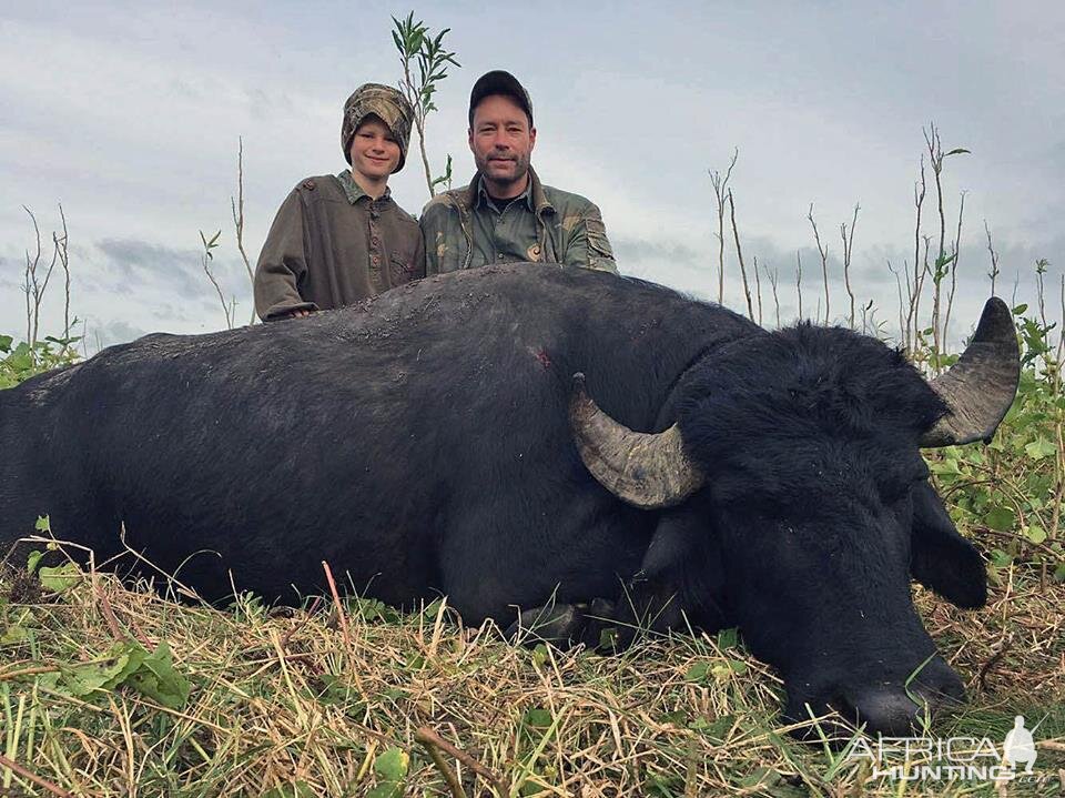 Water Buffalo Hunting Argentina