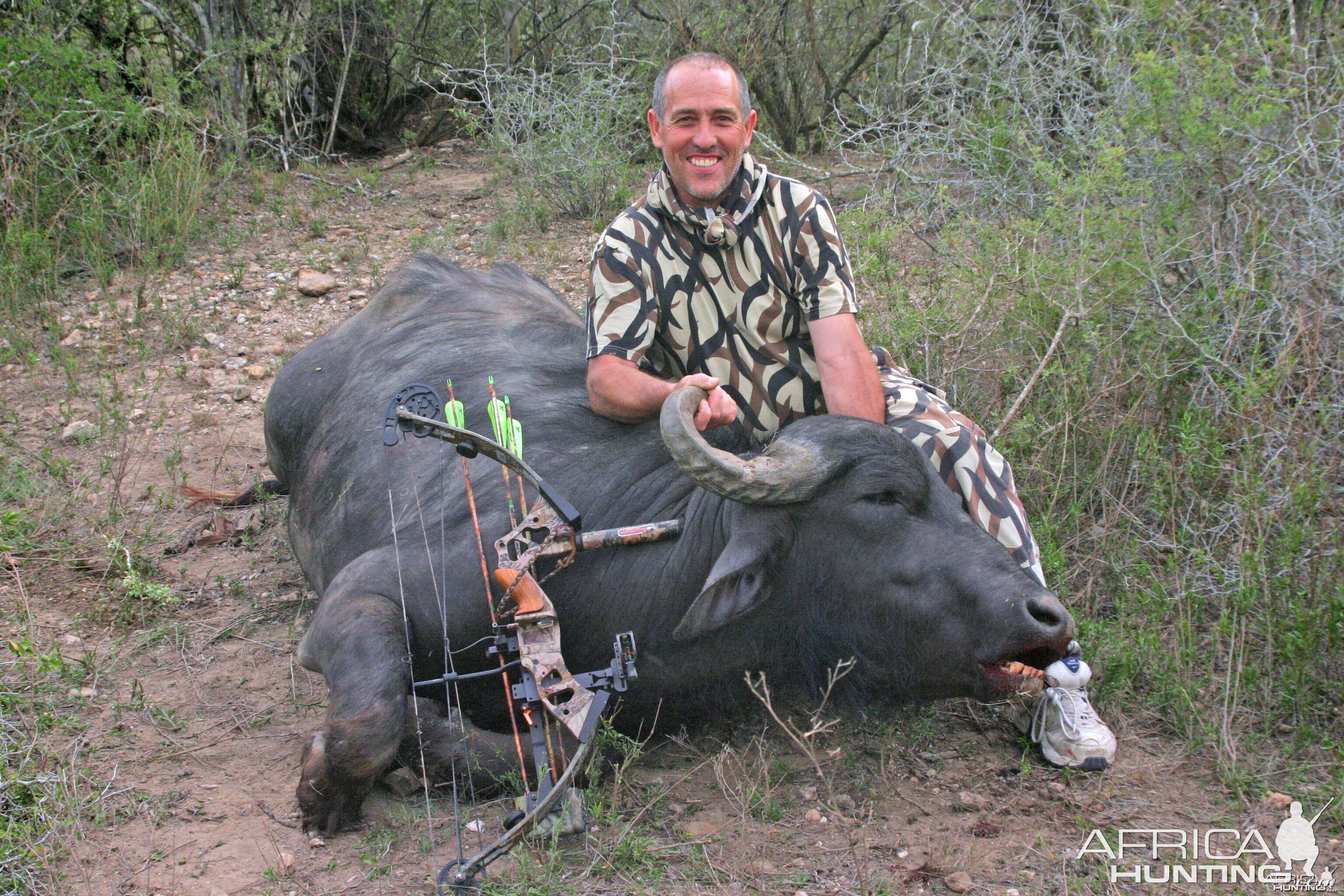 Water Buffalo-Texas