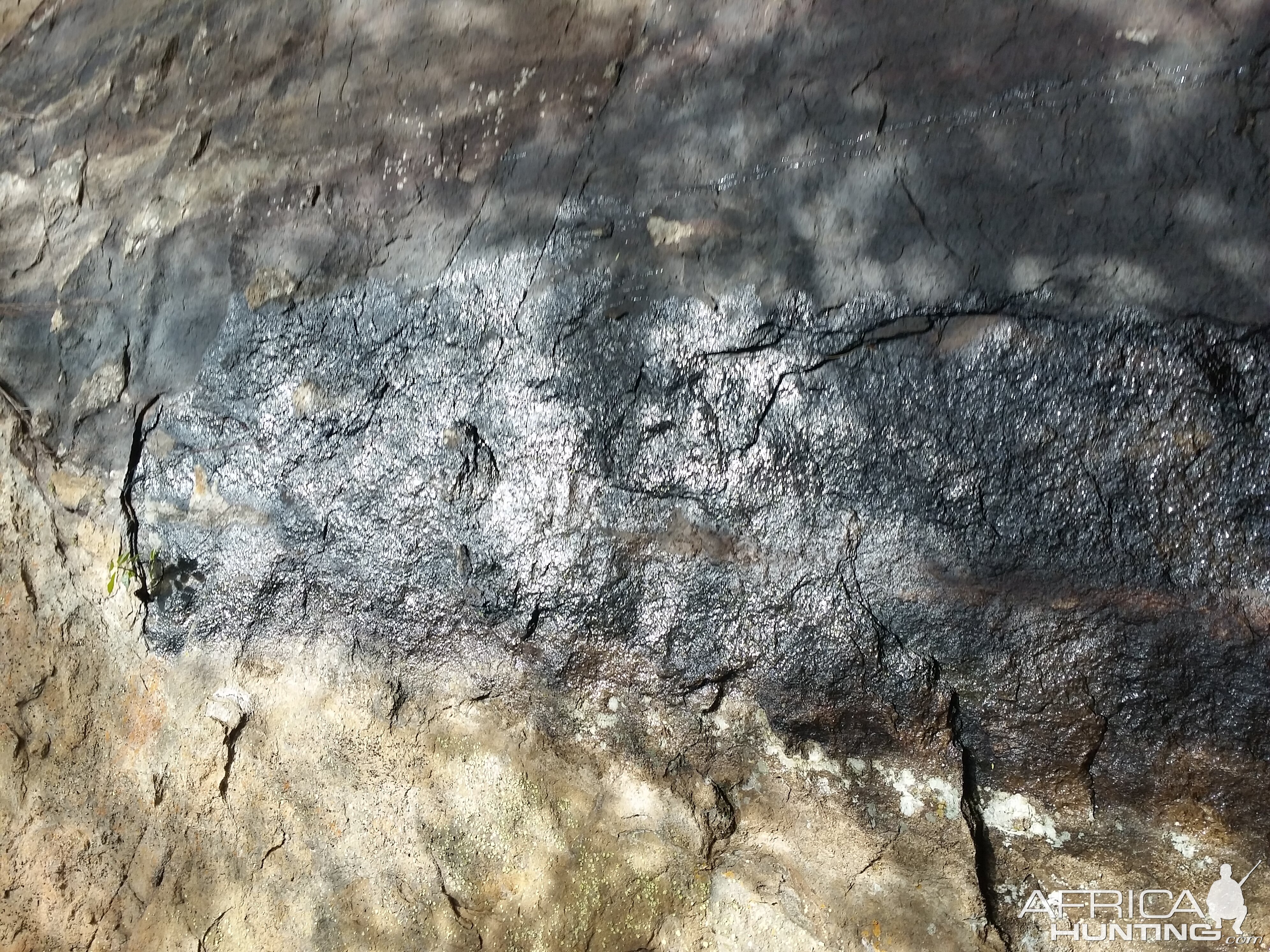 Water seeping from the side of a sheer granite wall