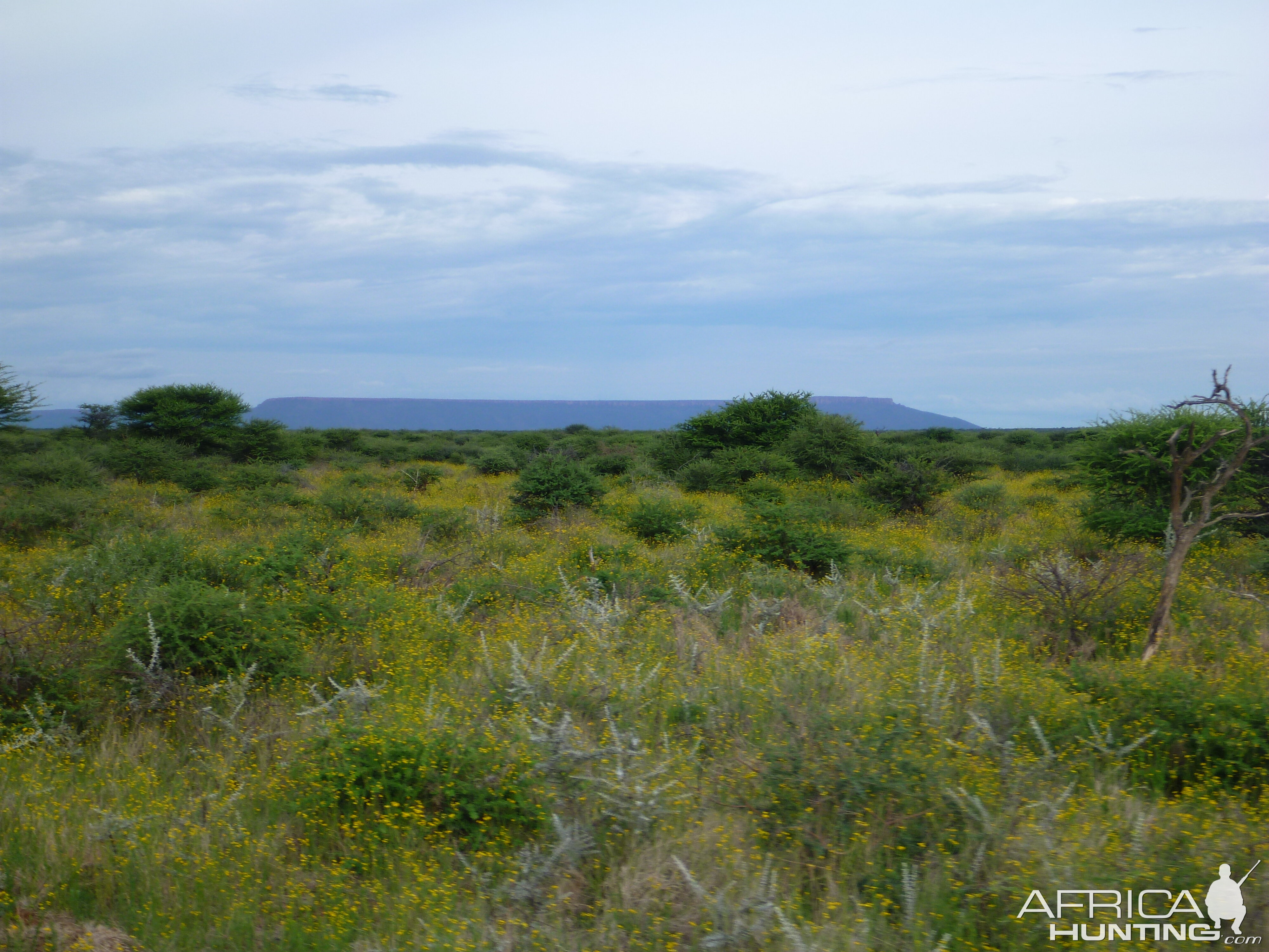 Waterberg Plateau Namibia