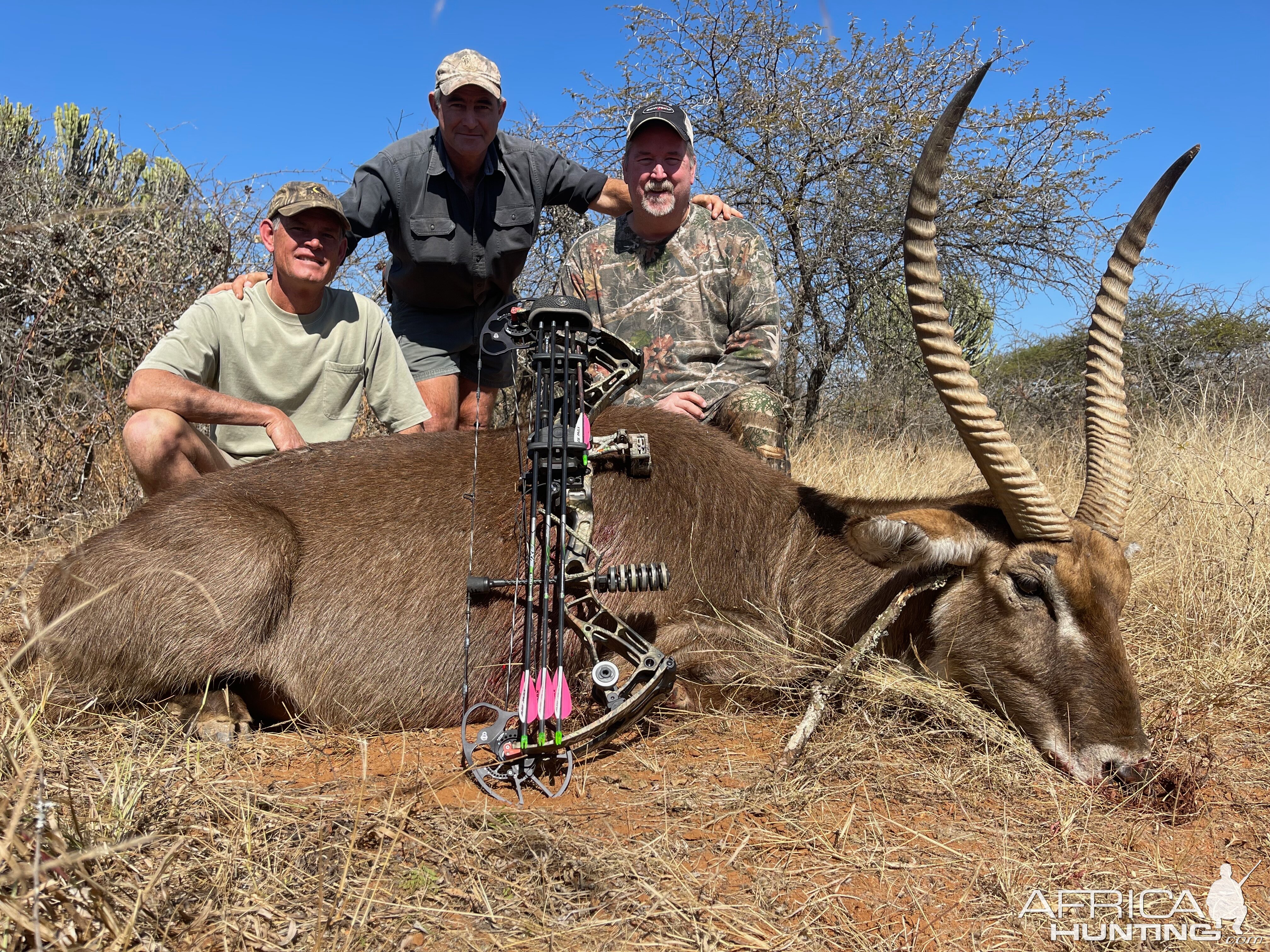 Waterbuck Bow Hunting South Africa