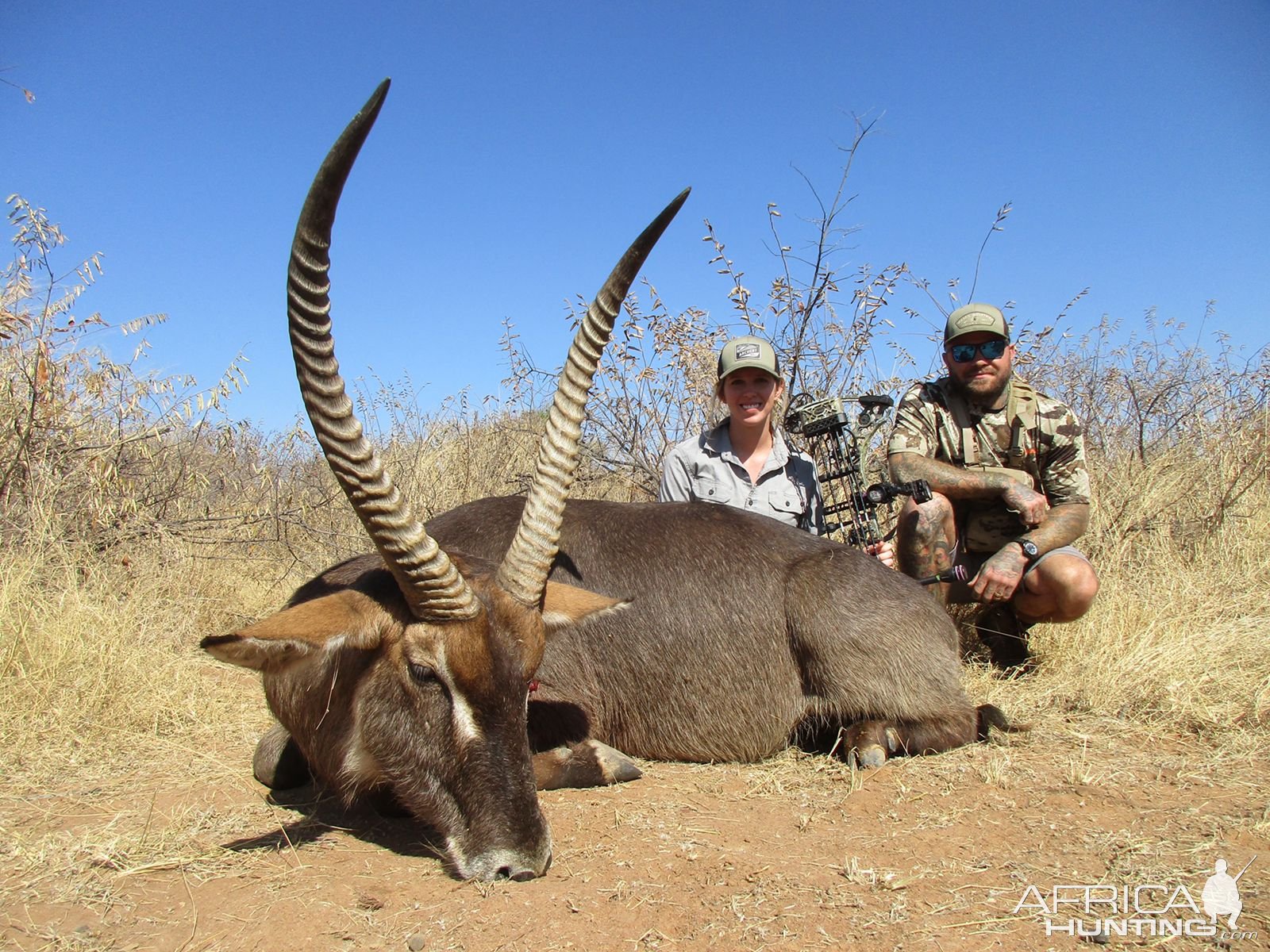 Waterbuck Bowhunting South Africa