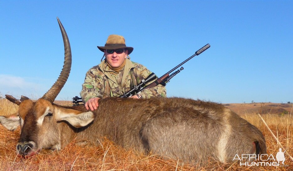 Waterbuck bull