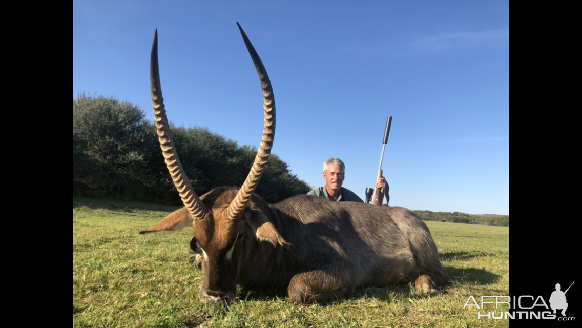 Waterbuck Hunt Eastern Cape South Africa