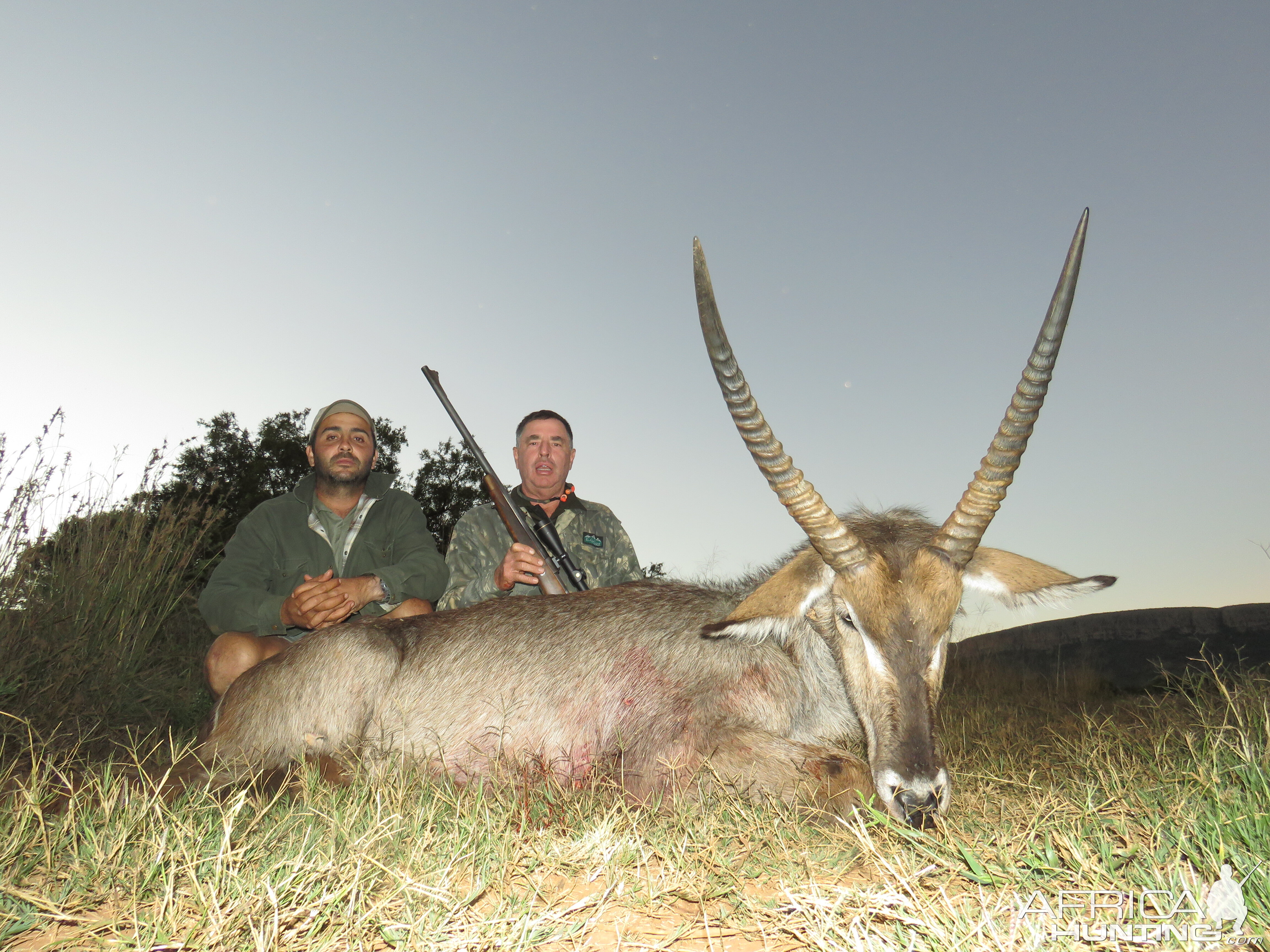 Waterbuck Hunt South Africa