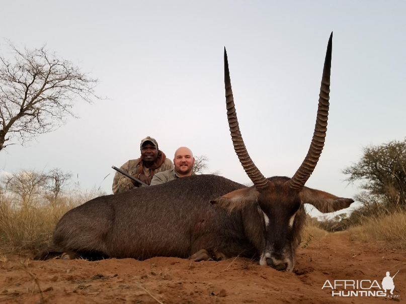 Waterbuck Hunt South Africa