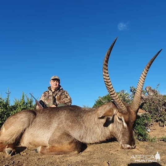 Waterbuck Hunt South Africa