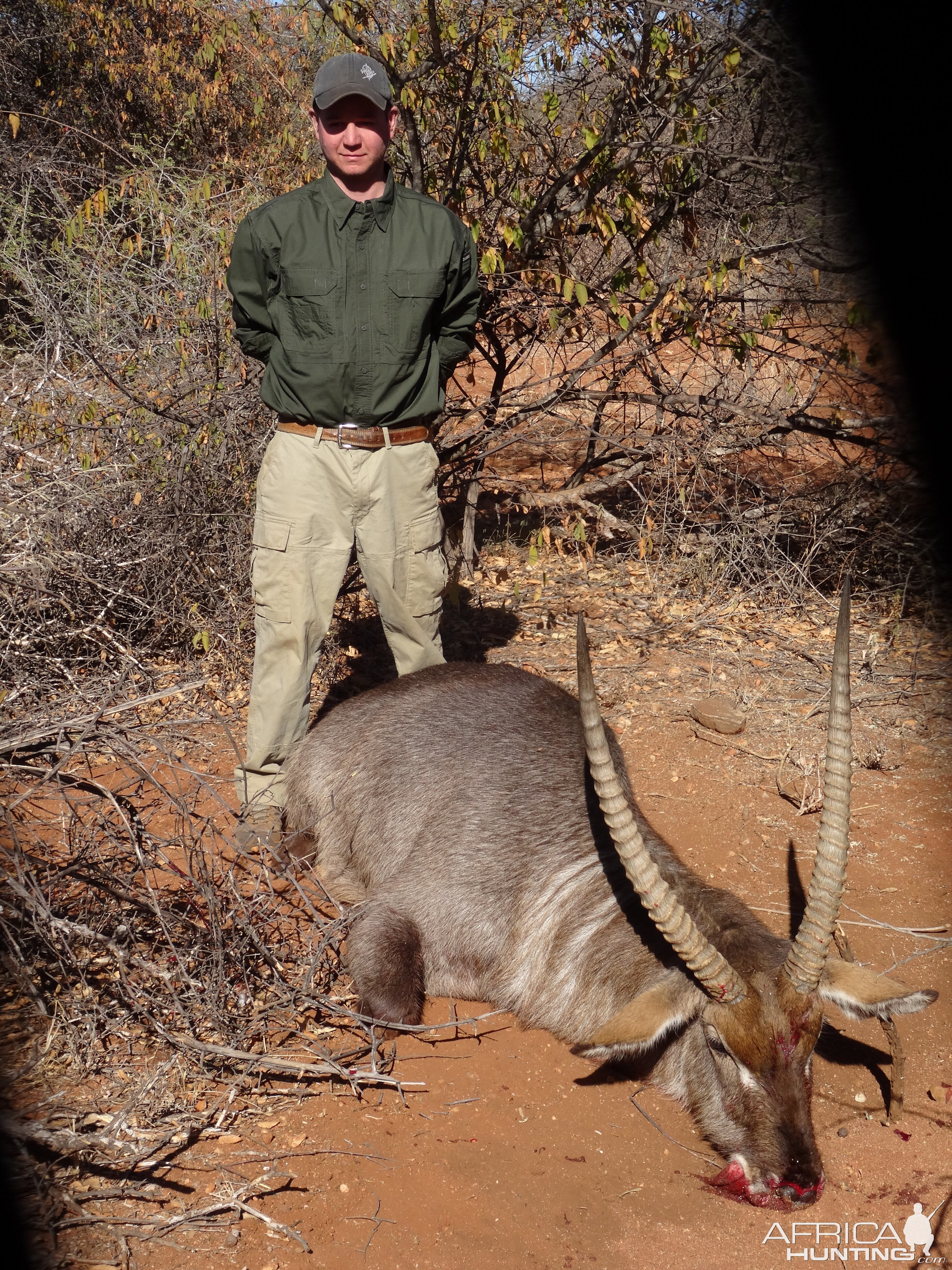 Waterbuck Hunt South Africa