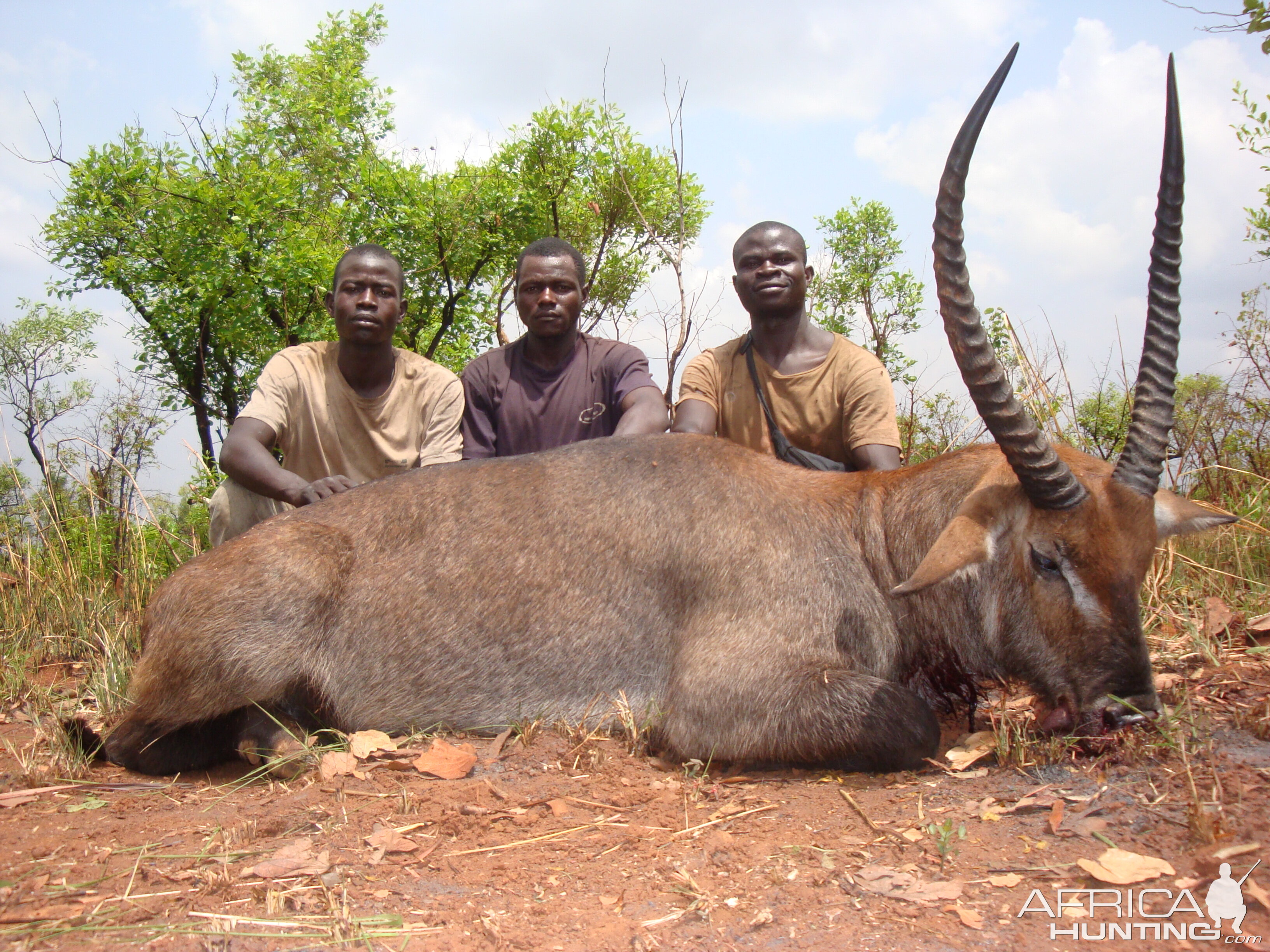 Waterbuck hunted in Central African Republic with CAWA