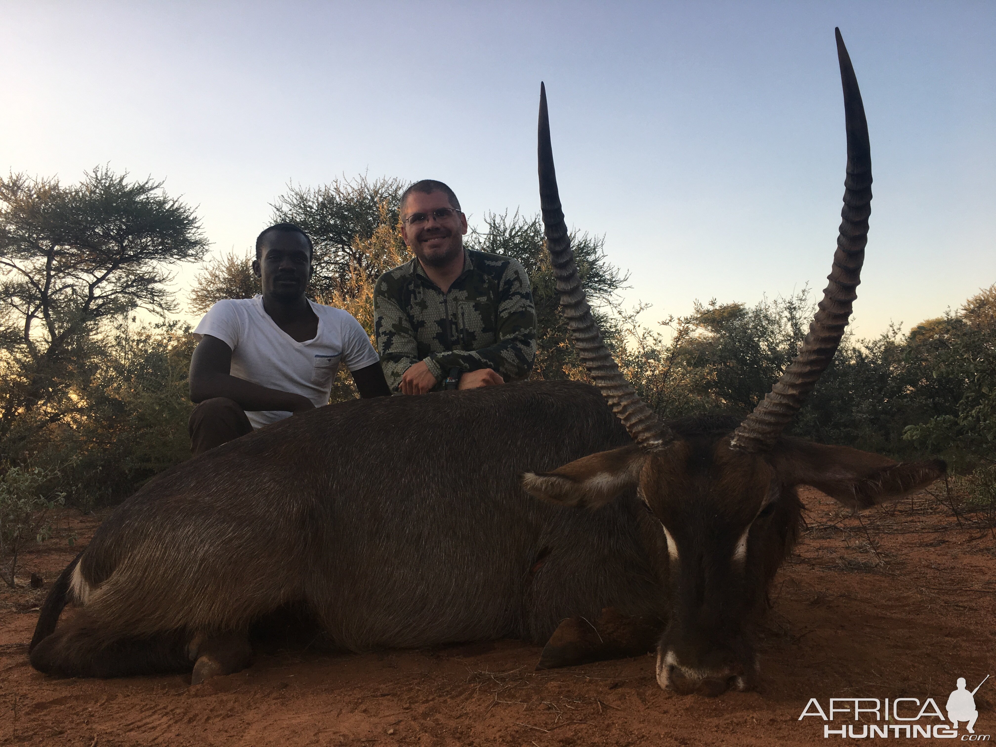 Waterbuck Hunting in South Africa