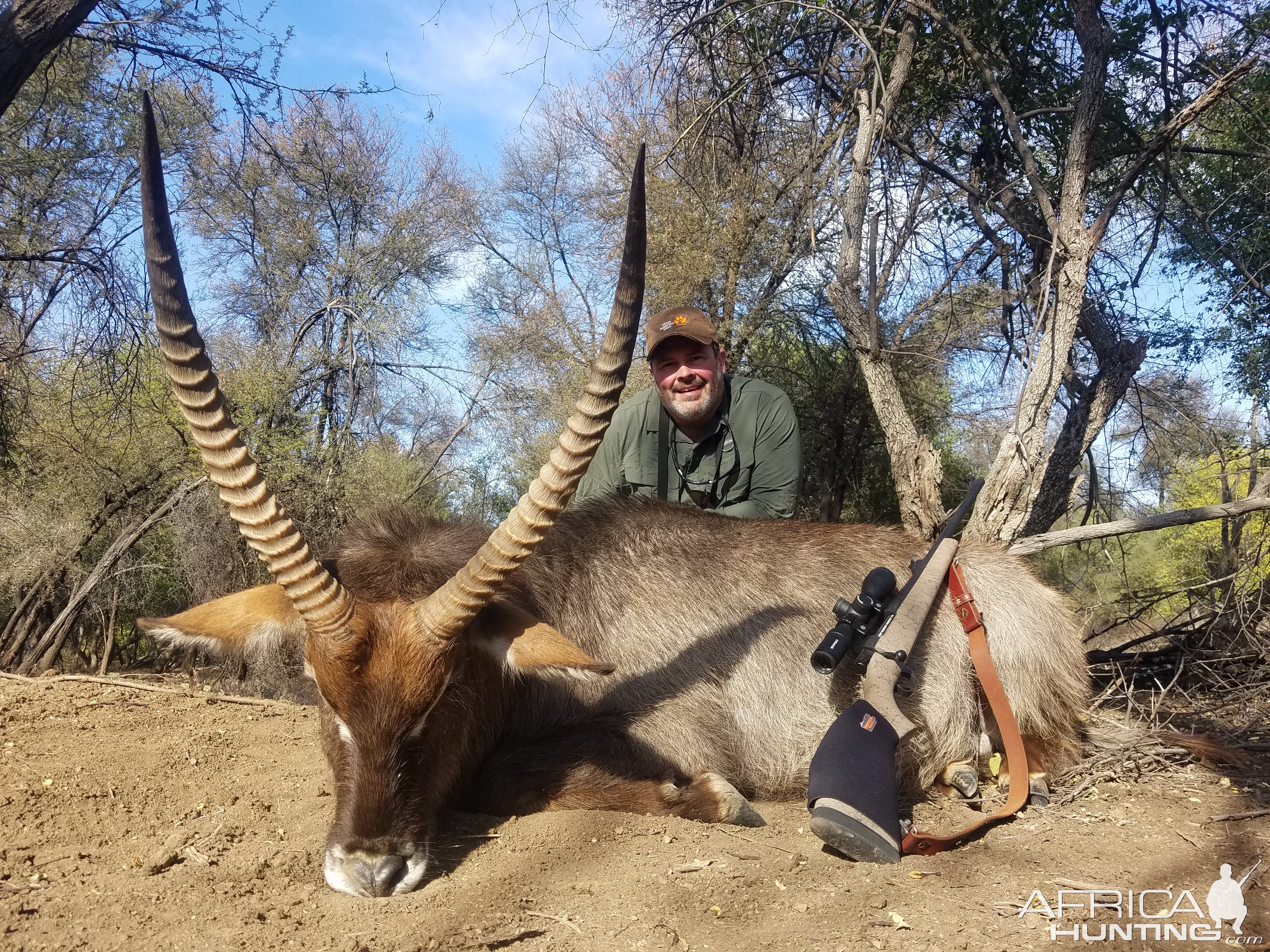 Waterbuck Hunting Limpopo South Africa