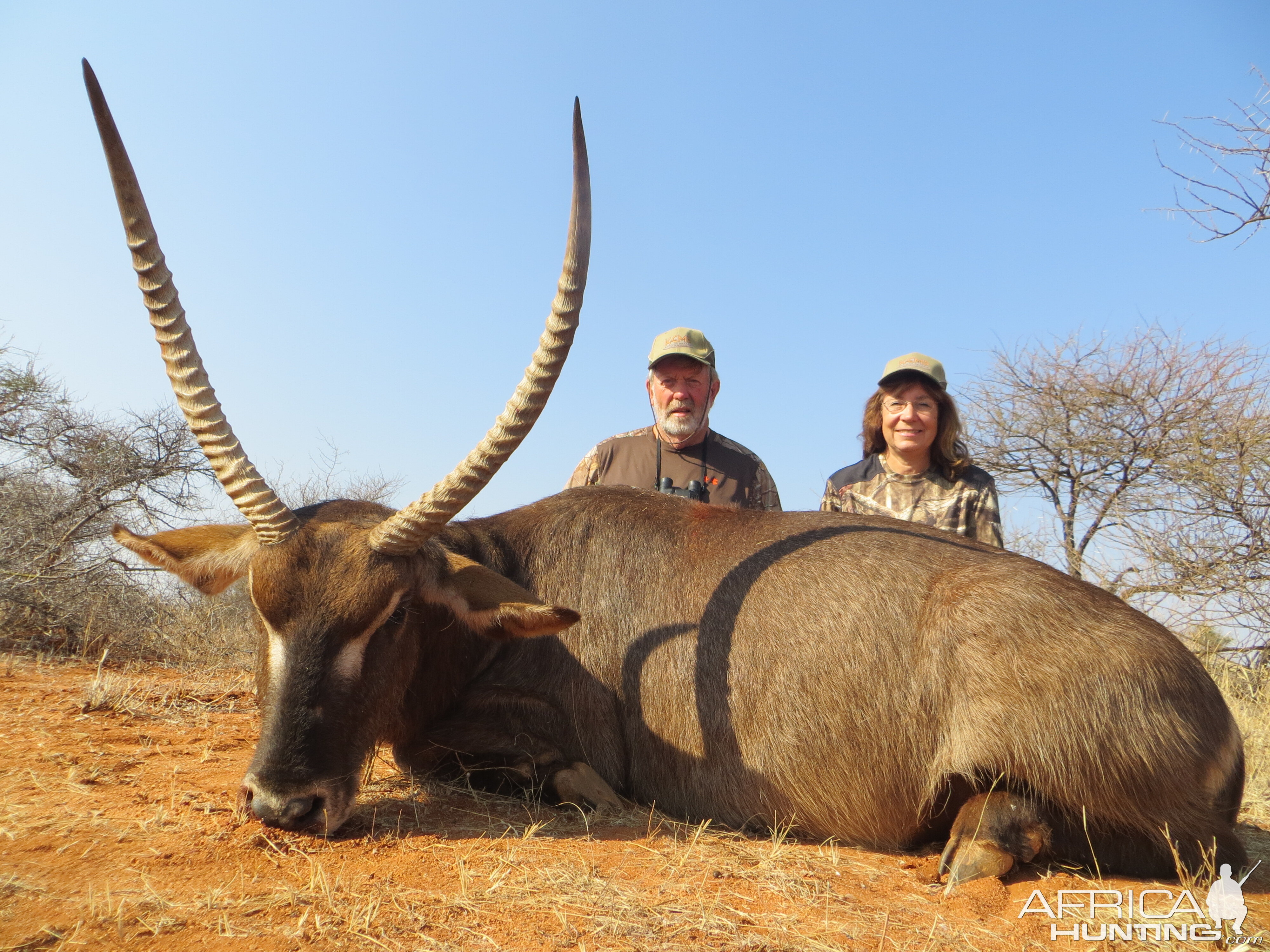 Waterbuck Hunting South Africa