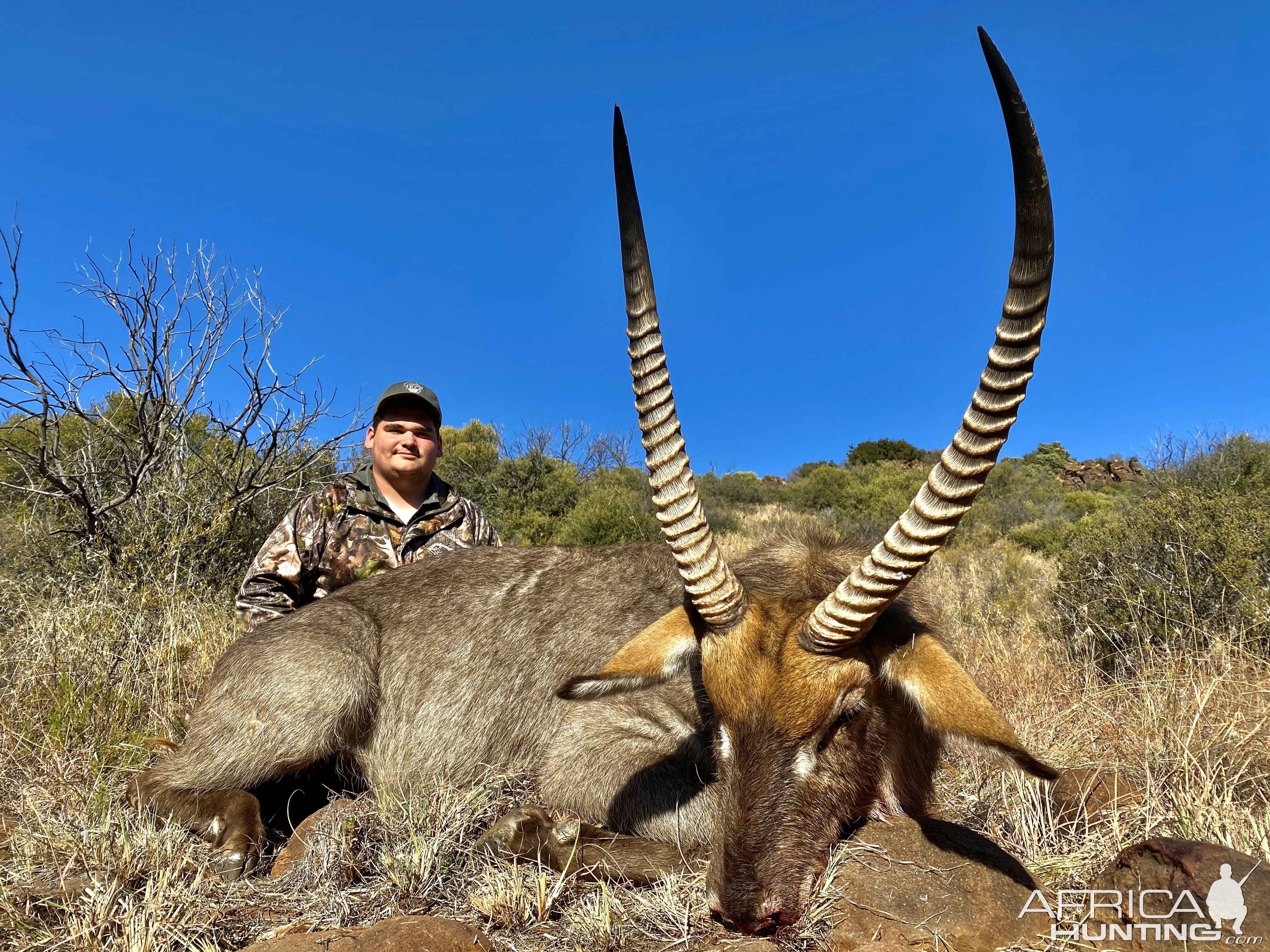 Waterbuck Hunting South Africa