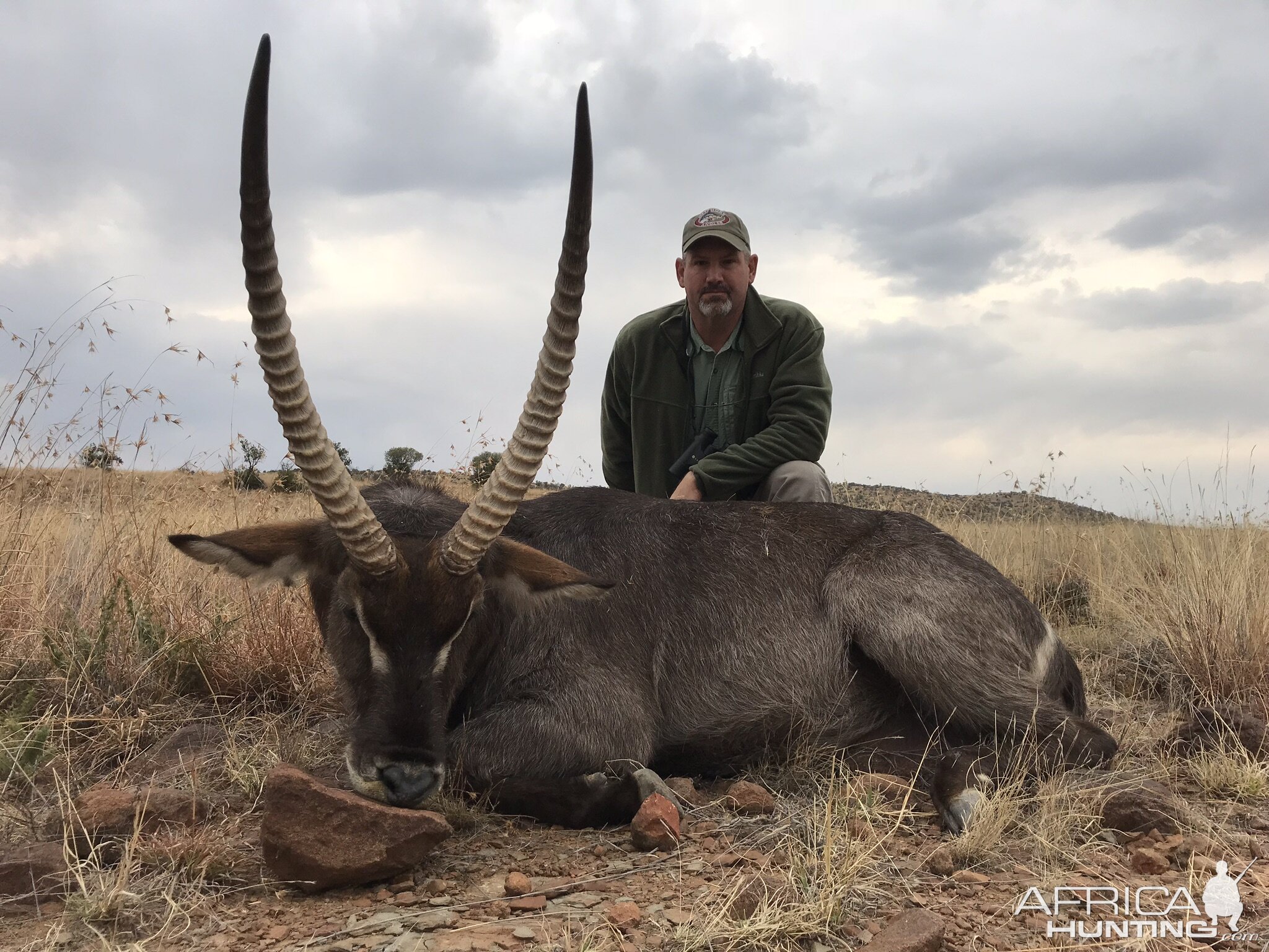 Waterbuck Hunting South Africa