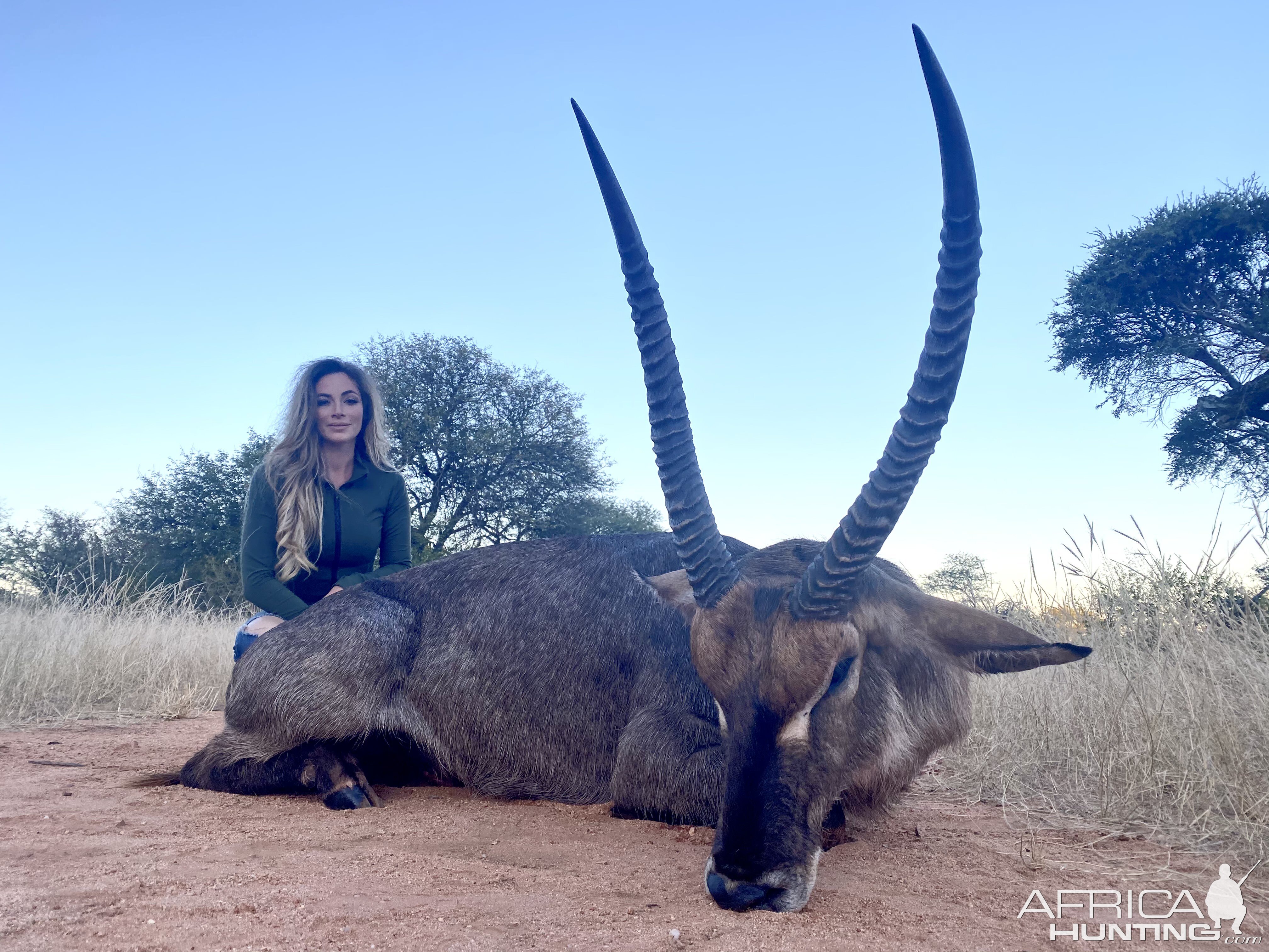 Waterbuck Hunting