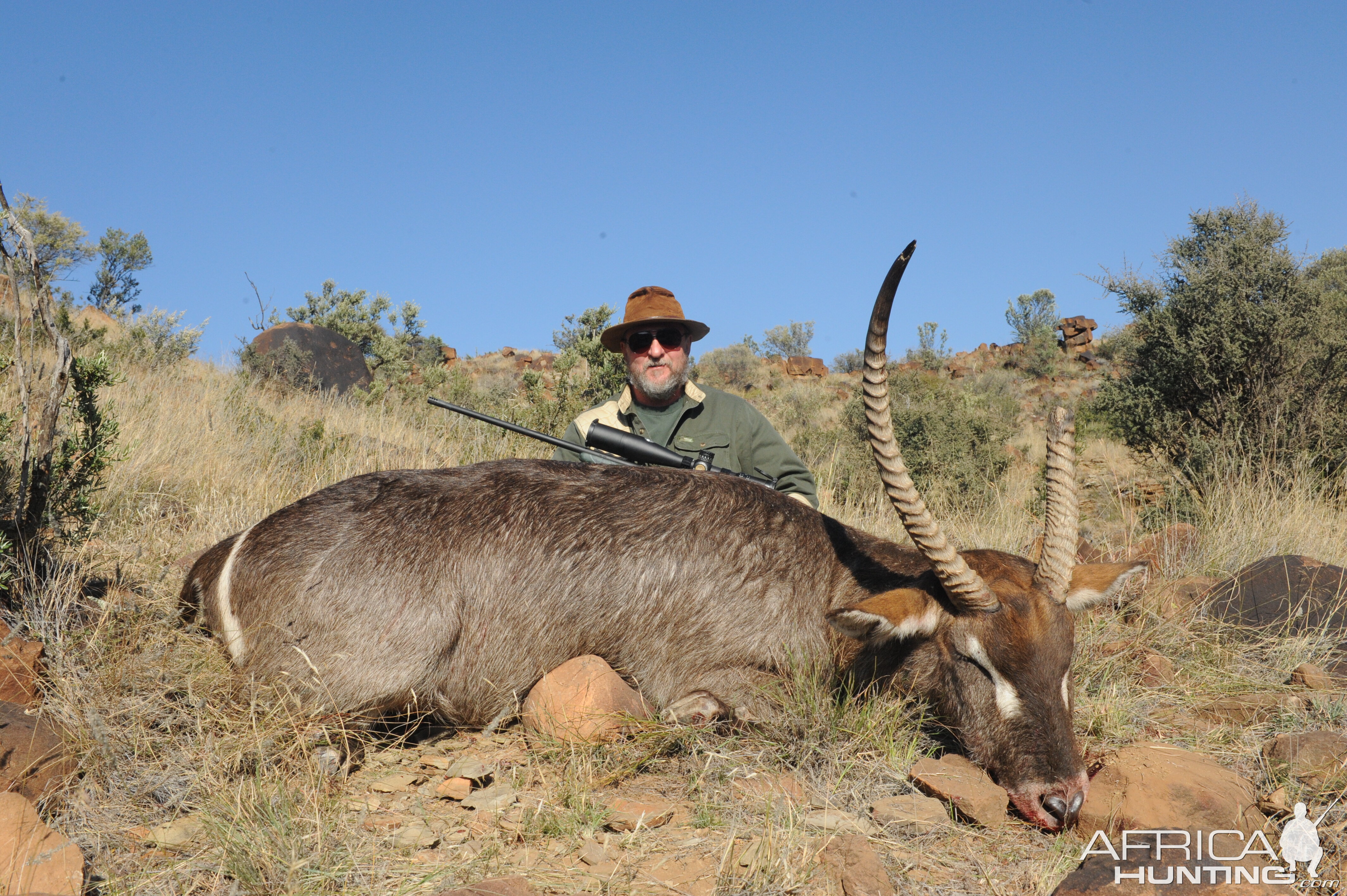 Waterbuck Hunting