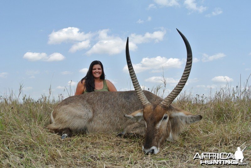 Waterbuck Mozambique