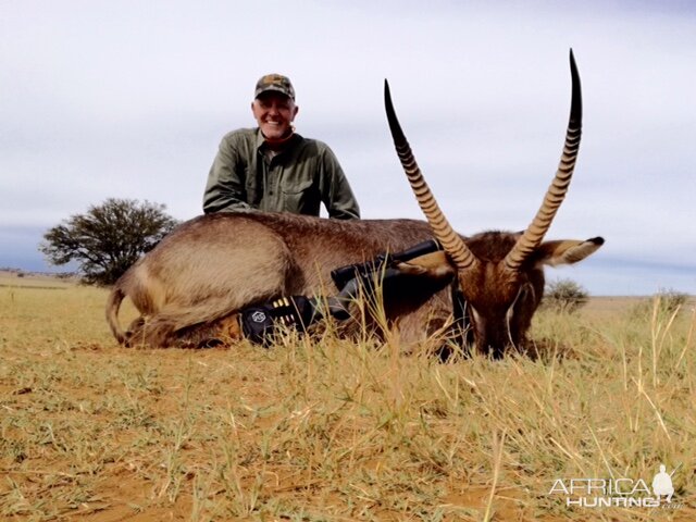 Waterbuck near Rustenberg SA